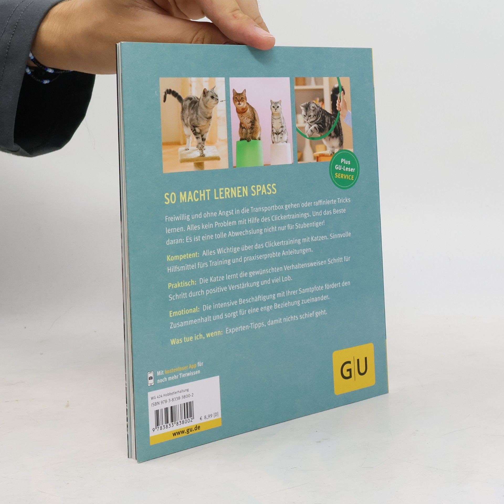 Katja Rüssel Katzen-Clickertraining