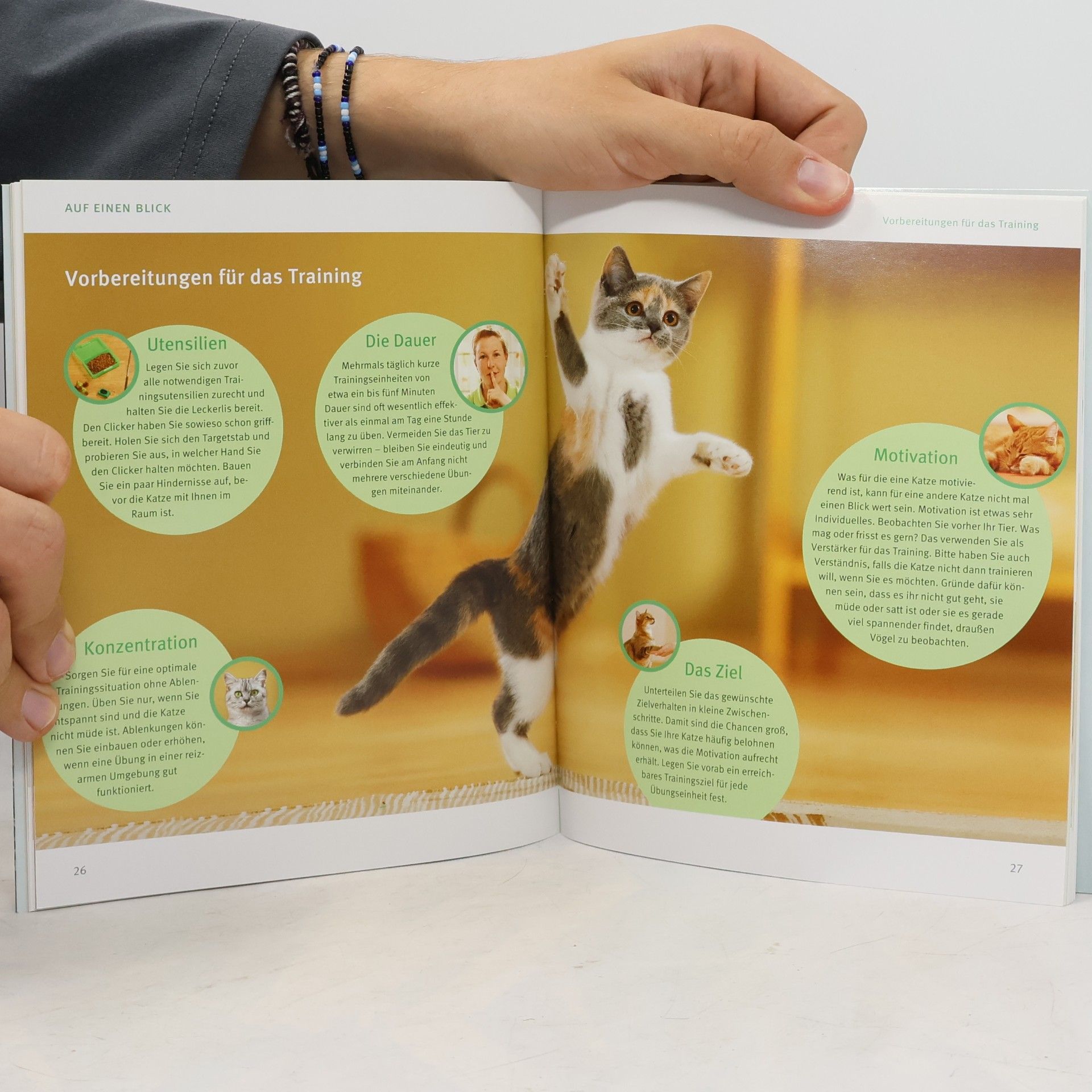 Katja Rüssel Katzen-Clickertraining