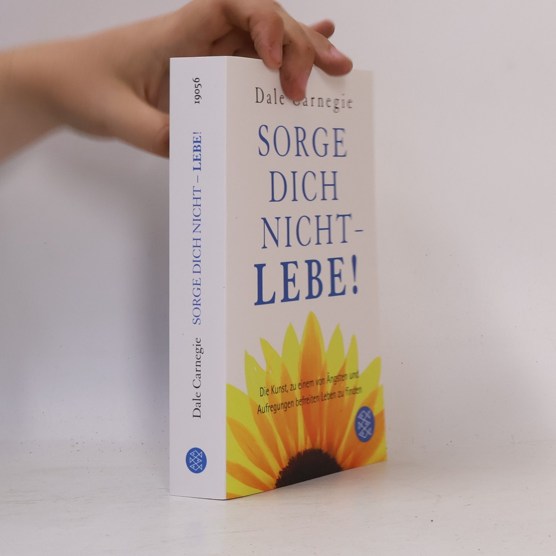 Dale Carnegie Sorge dich nicht - lebe!
