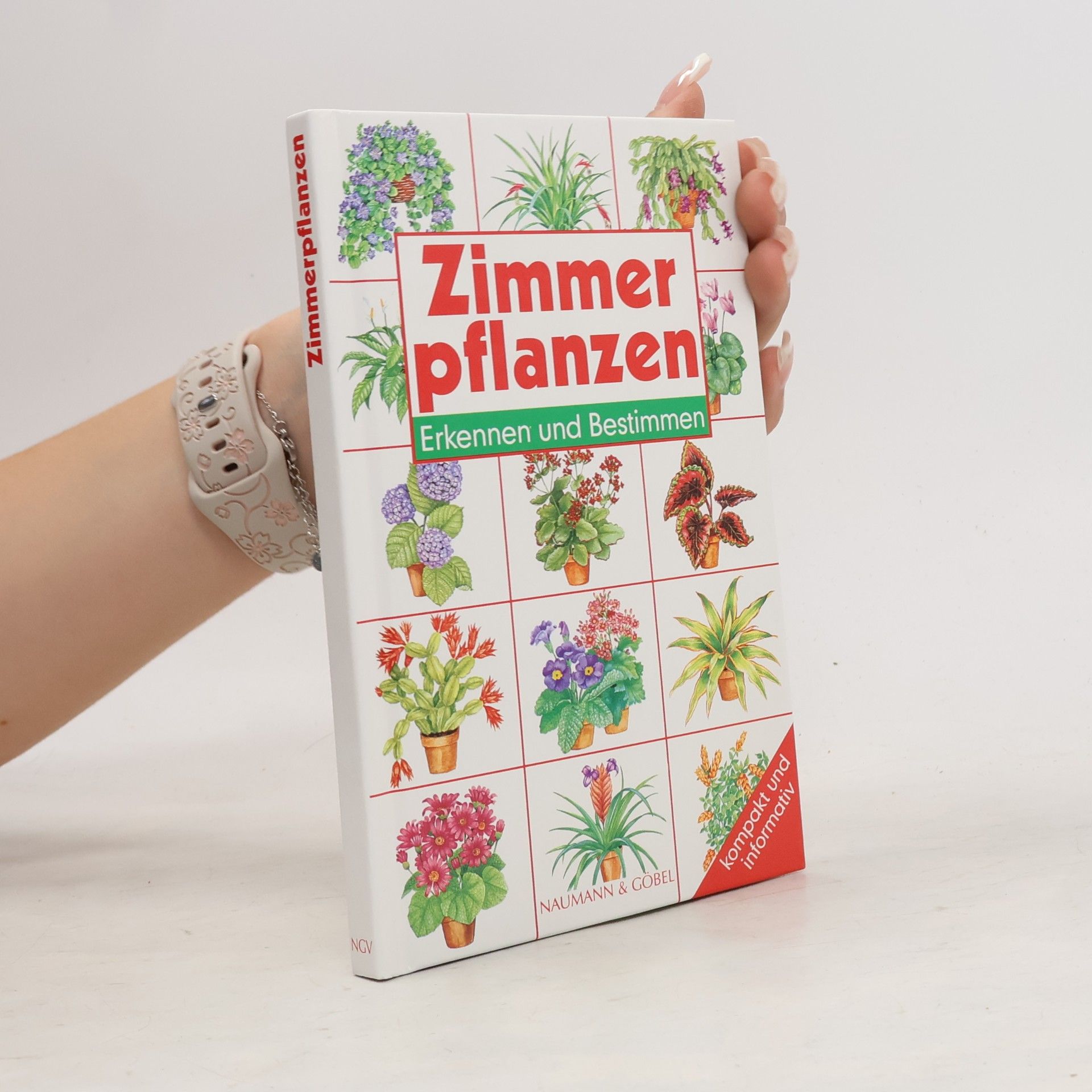 Violet Stevenson Zimmerpflanzen, Erkennen und Bestimmen