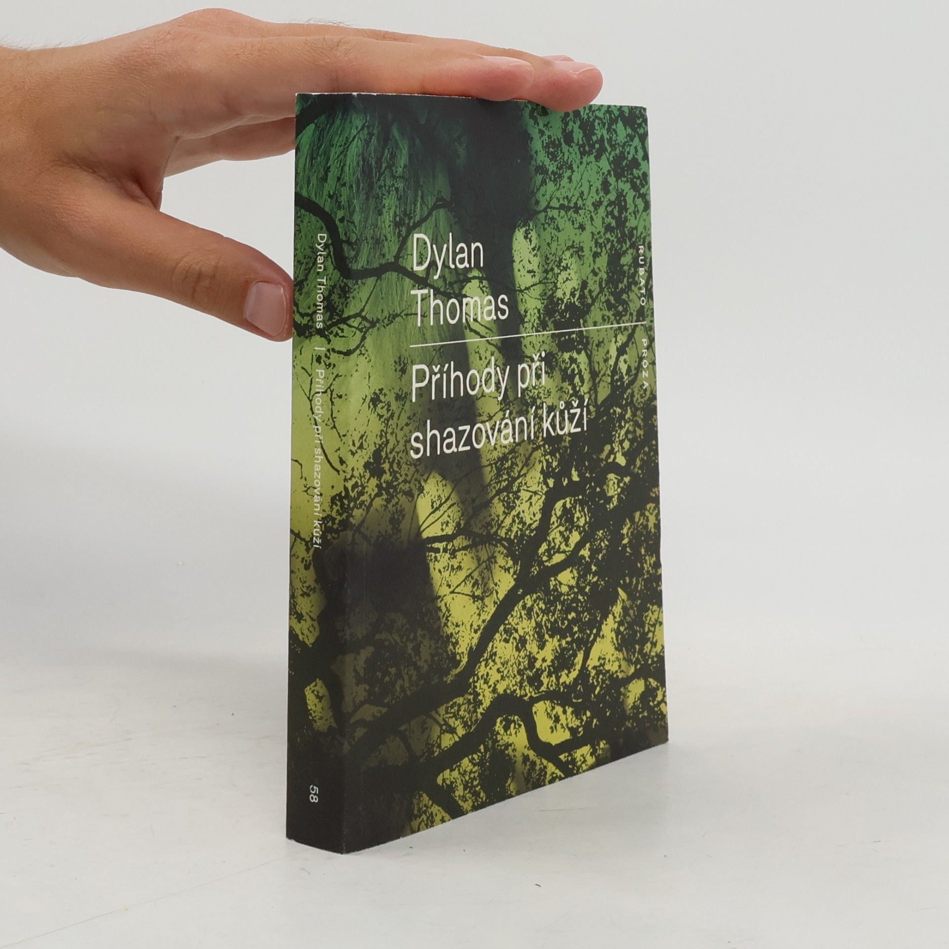 Dylan Thomas Příhody při shazování kůží