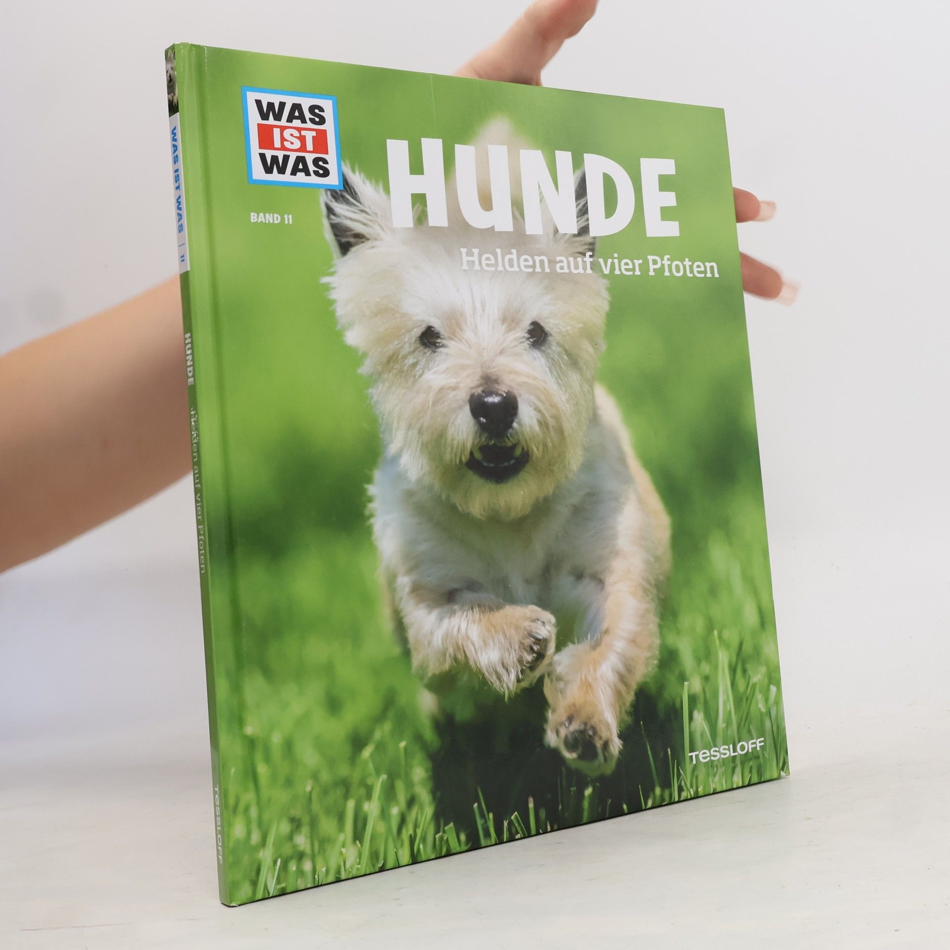 Autorenkollektiv Hunde. Helden auf vier Pfoten