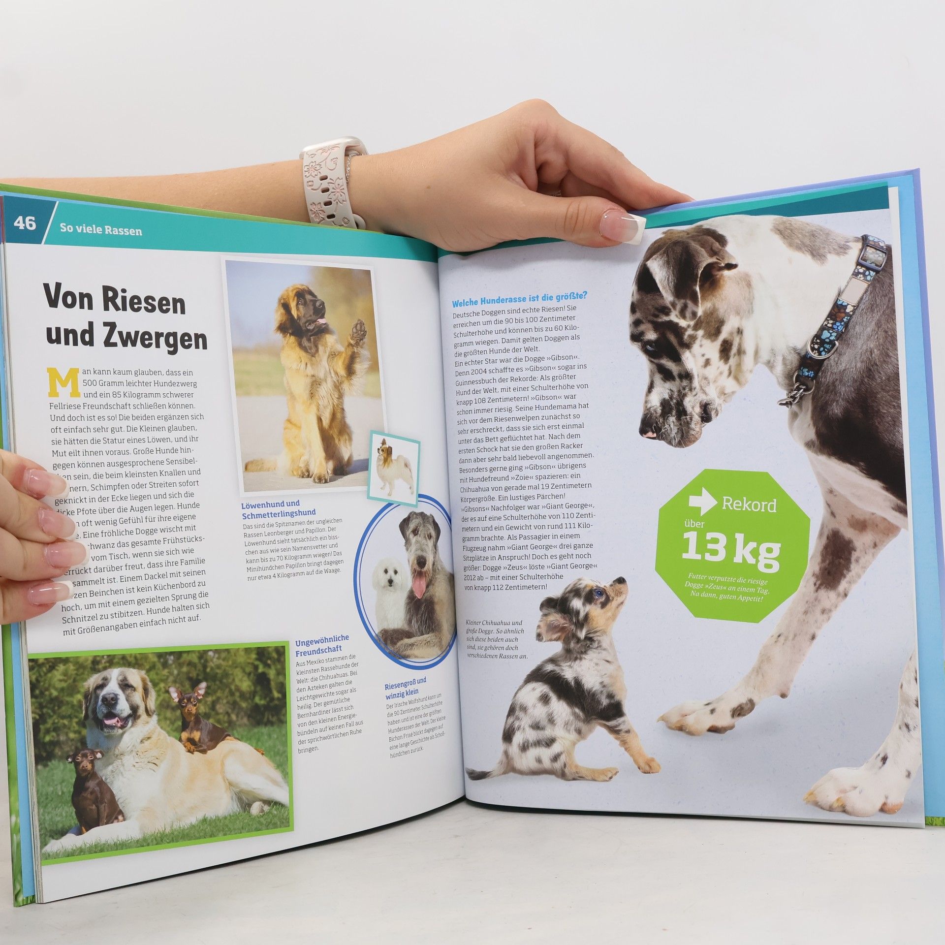 Various authors Hunde. Helden auf vier Pfoten