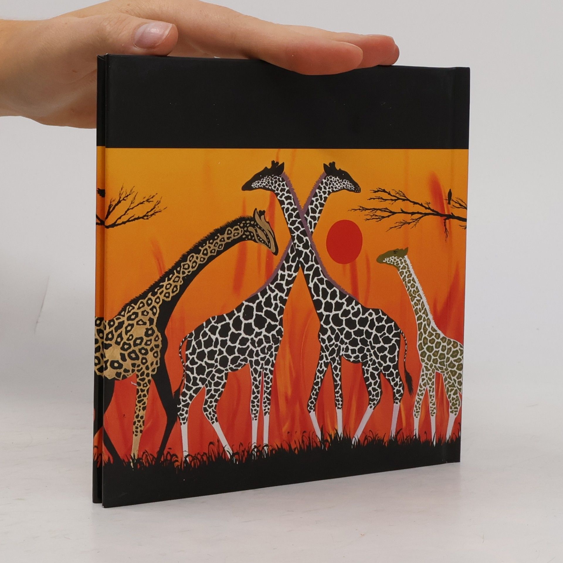 Timothé Kodjo Honkou Spirit of Africa. Geschenkbuch mit afrikanischen Weisheiten
