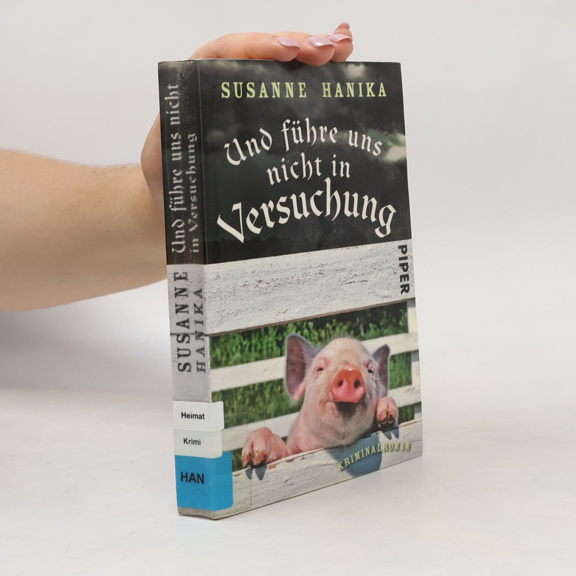 Susanne Hanika Und führe uns nicht in Versuchung
