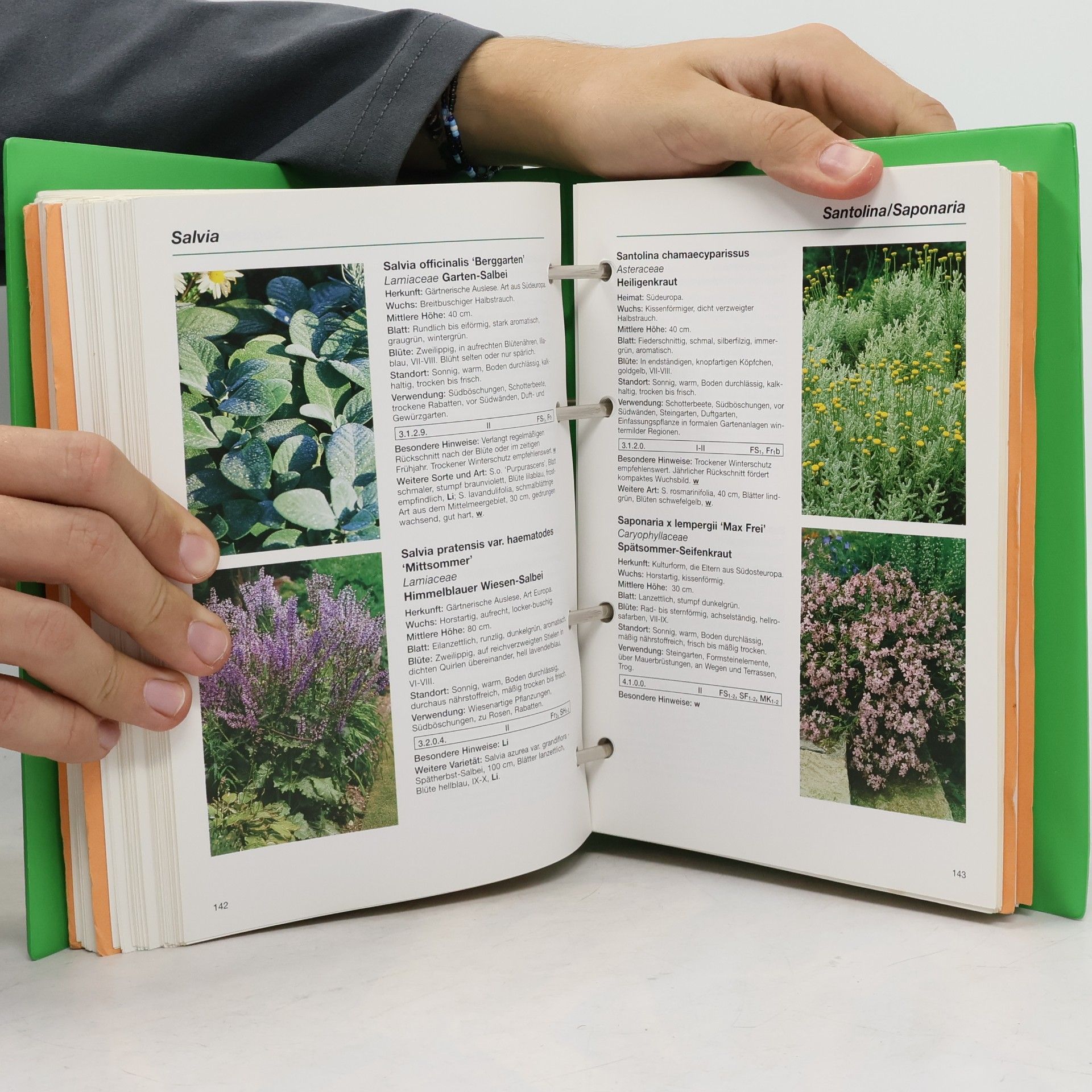 Autorenkollektiv Pflanzenbuch 1