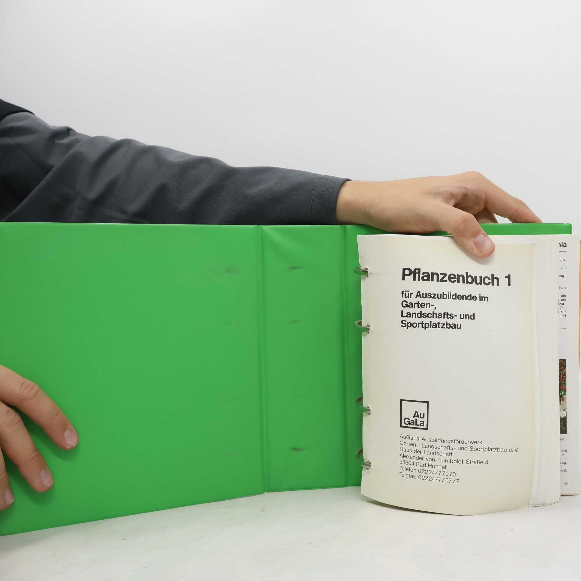 Autorenkollektiv Pflanzenbuch 1
