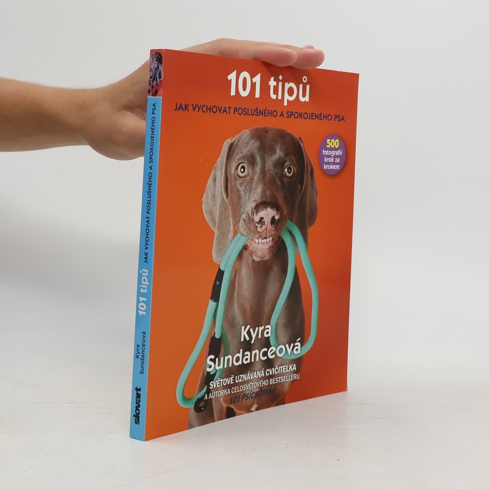 Kyra Sundance 101 tipů jak vychovat poslušného a spokojeného psa