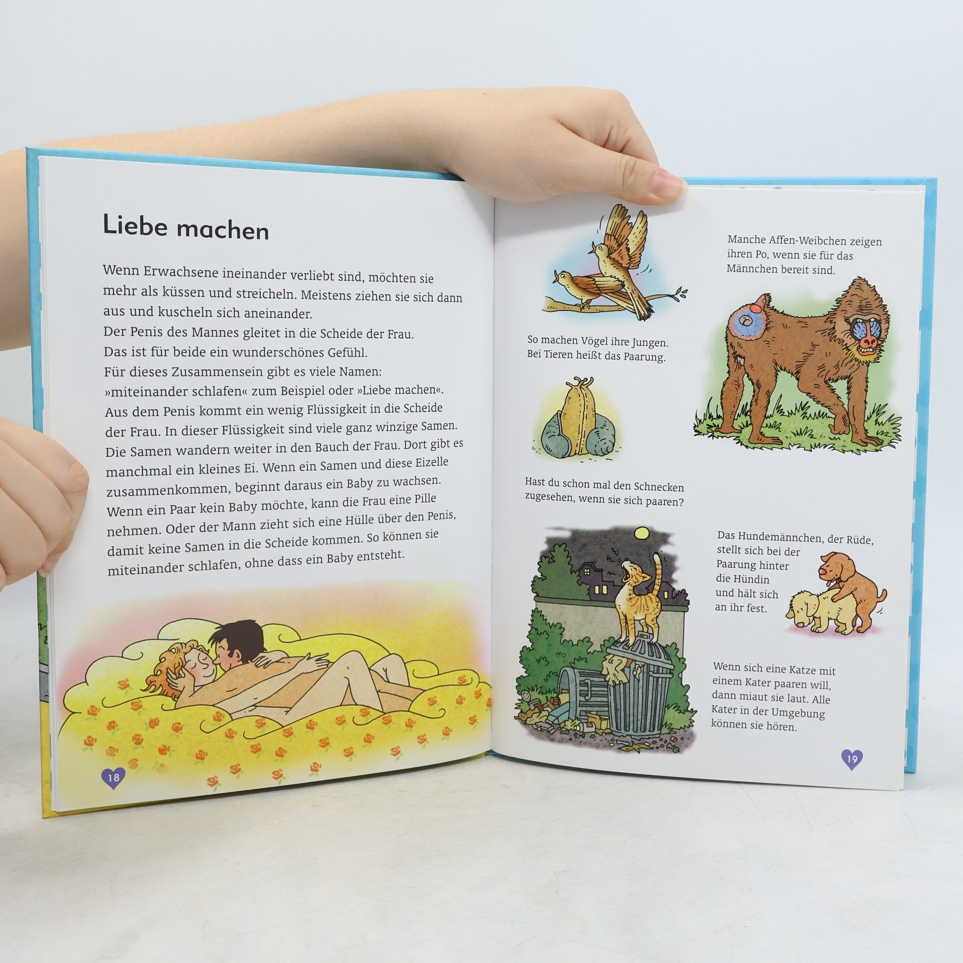 Sanderijn van der Doef Vom Liebhaben und Kinderkriegen
