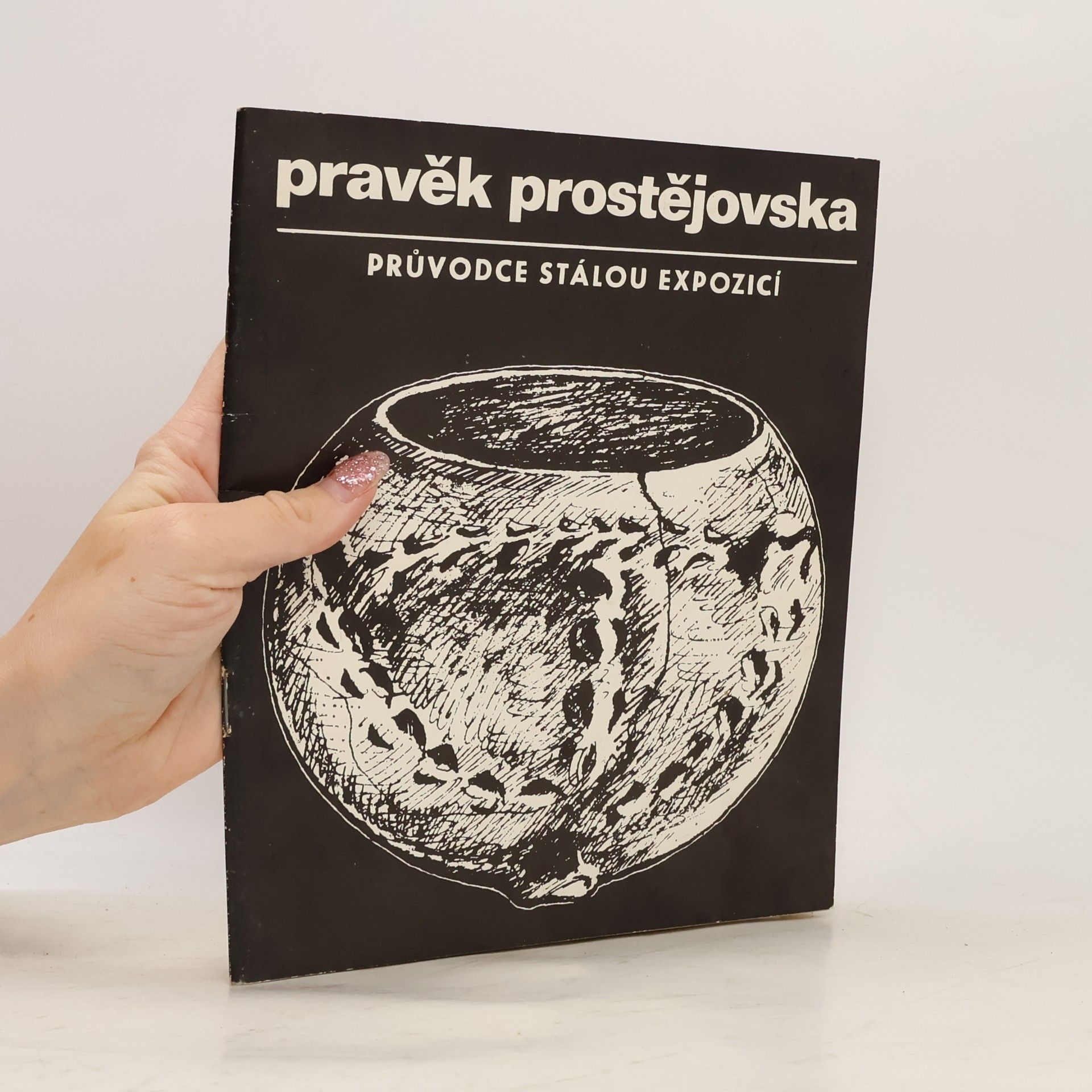 Alena Prudká Pravěk Prostějovska