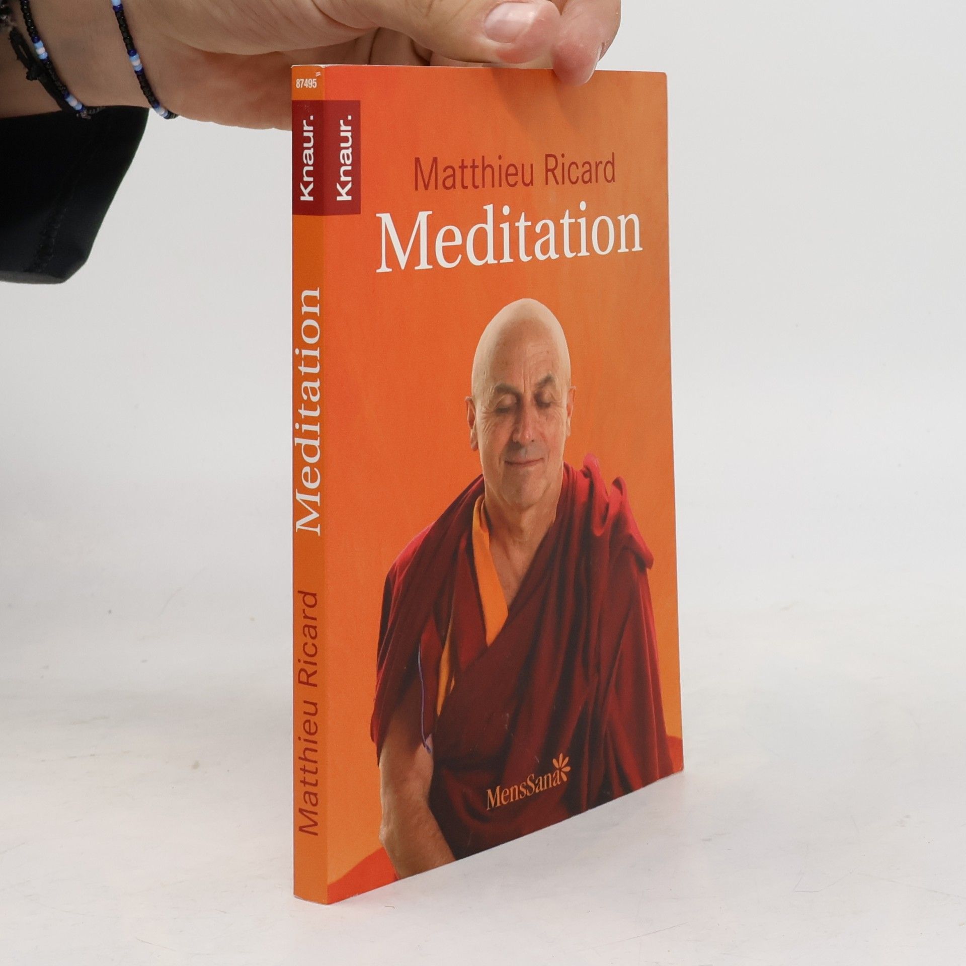 Matthieu Ricard Meditation