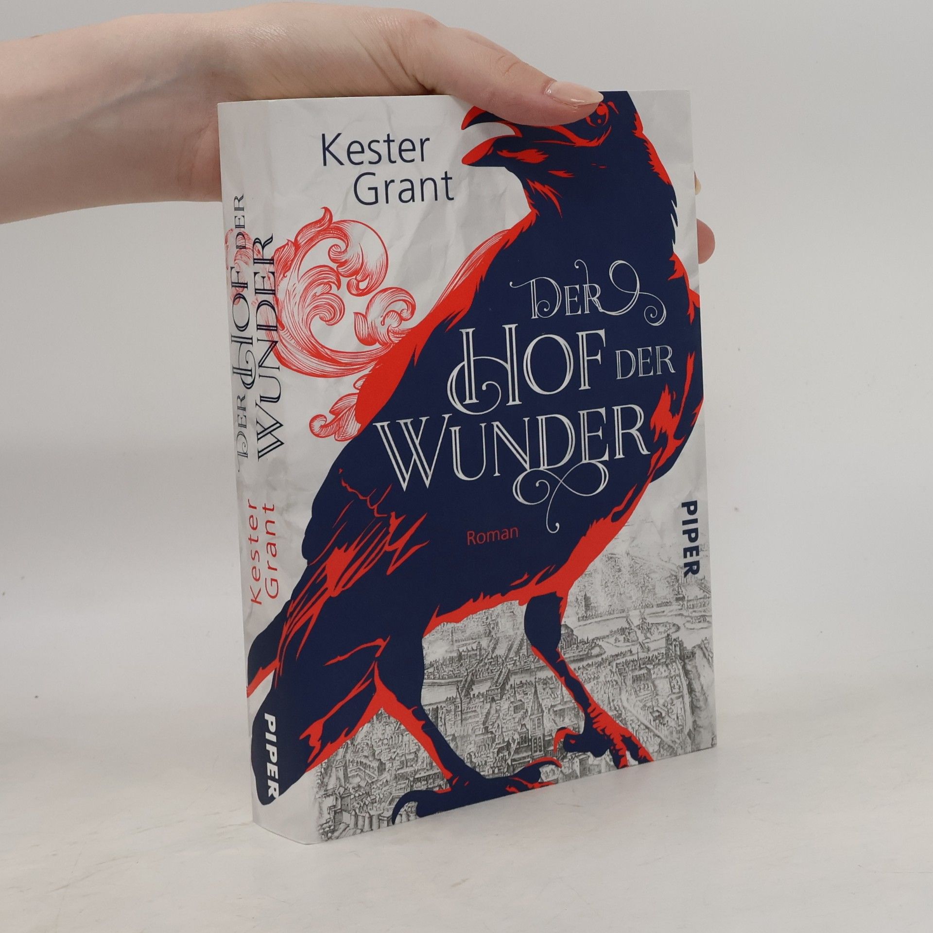 Kester Grant Der Hof der Wunder