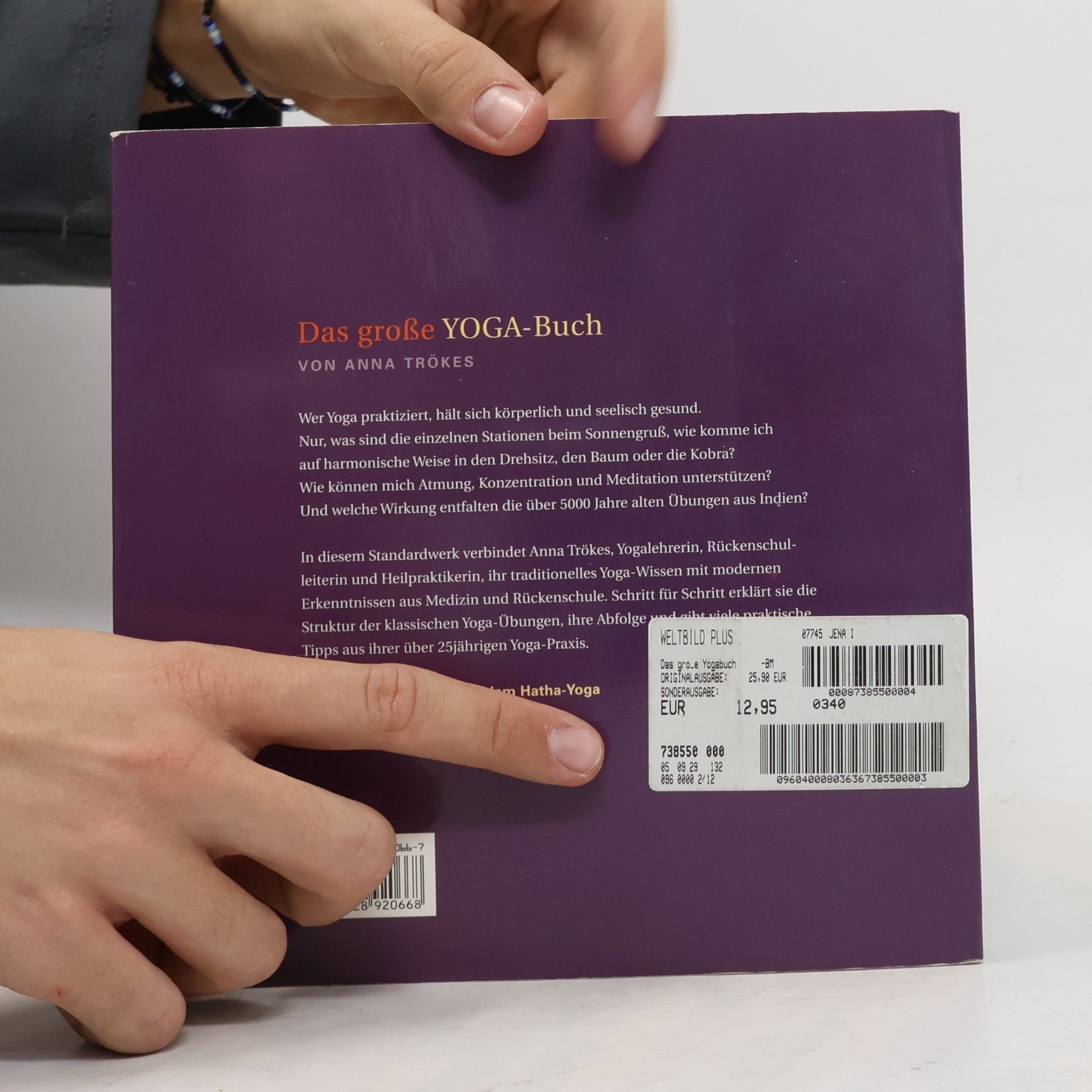 Anna Trökes Das große Yoga-Buch
