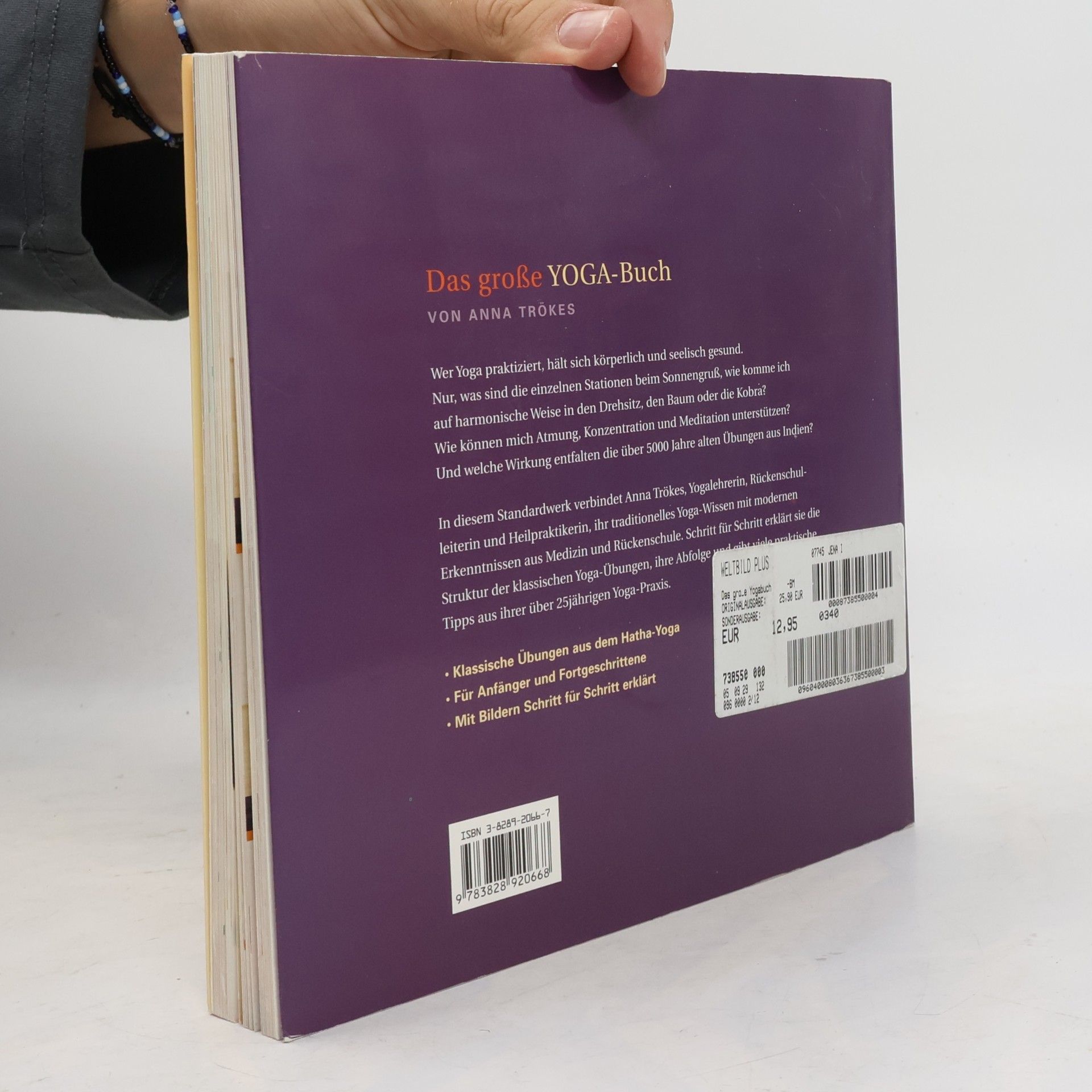 Anna Trökes Das große Yoga-Buch