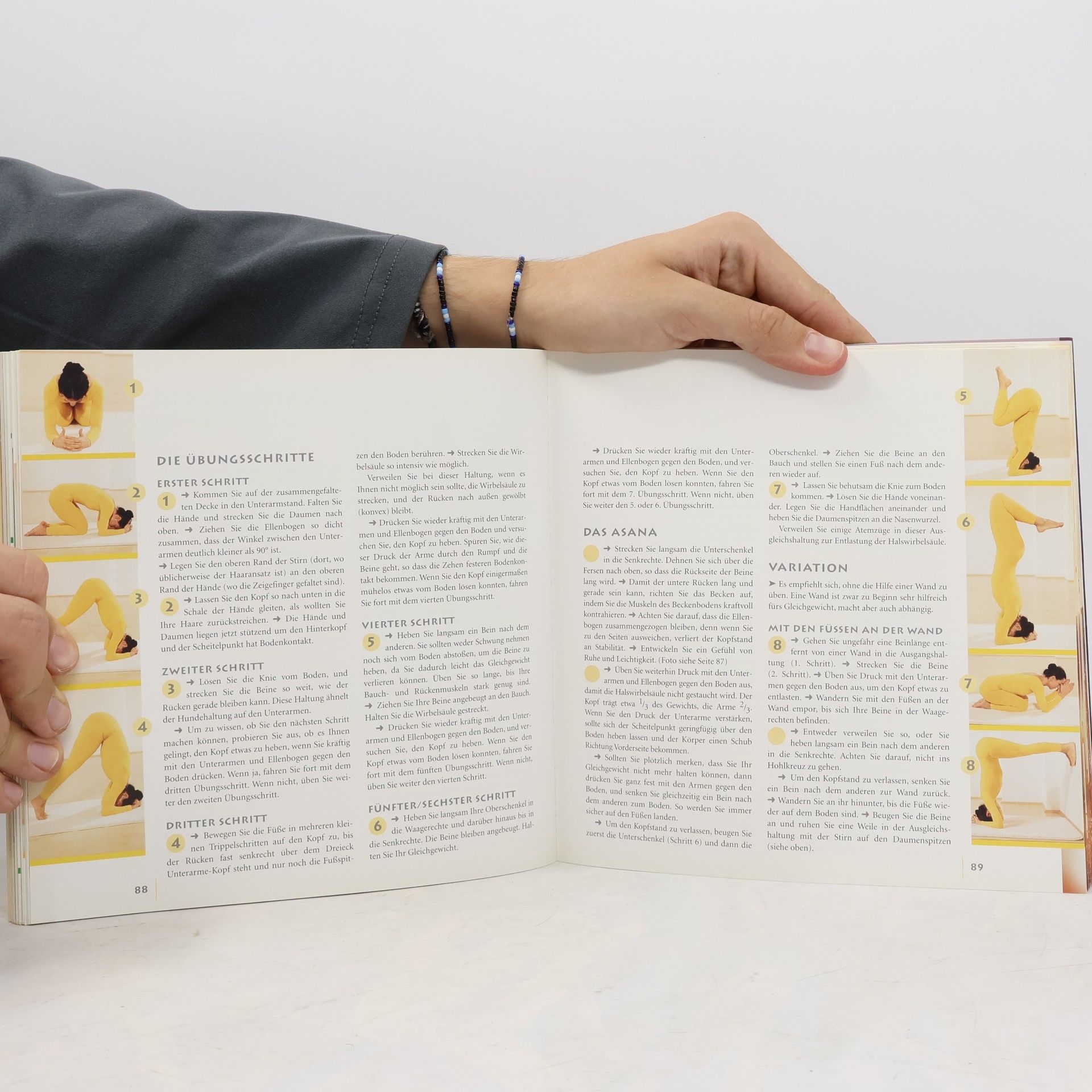 Anna Trökes Das große Yoga-Buch