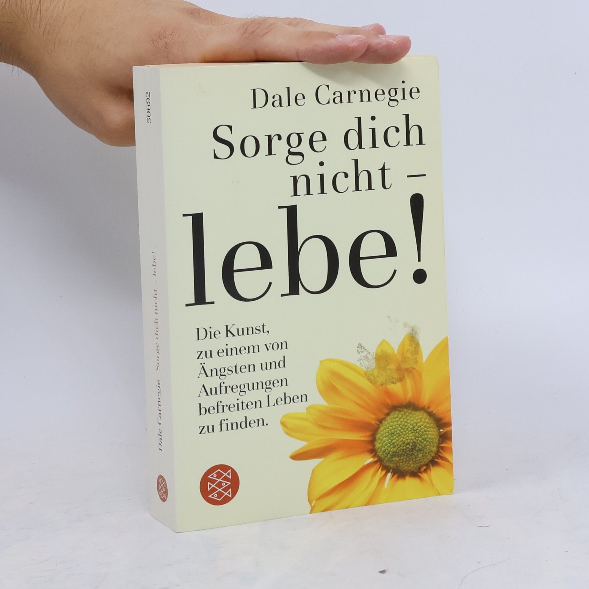 Dale Carnegie Sorge dich nicht - lebe!