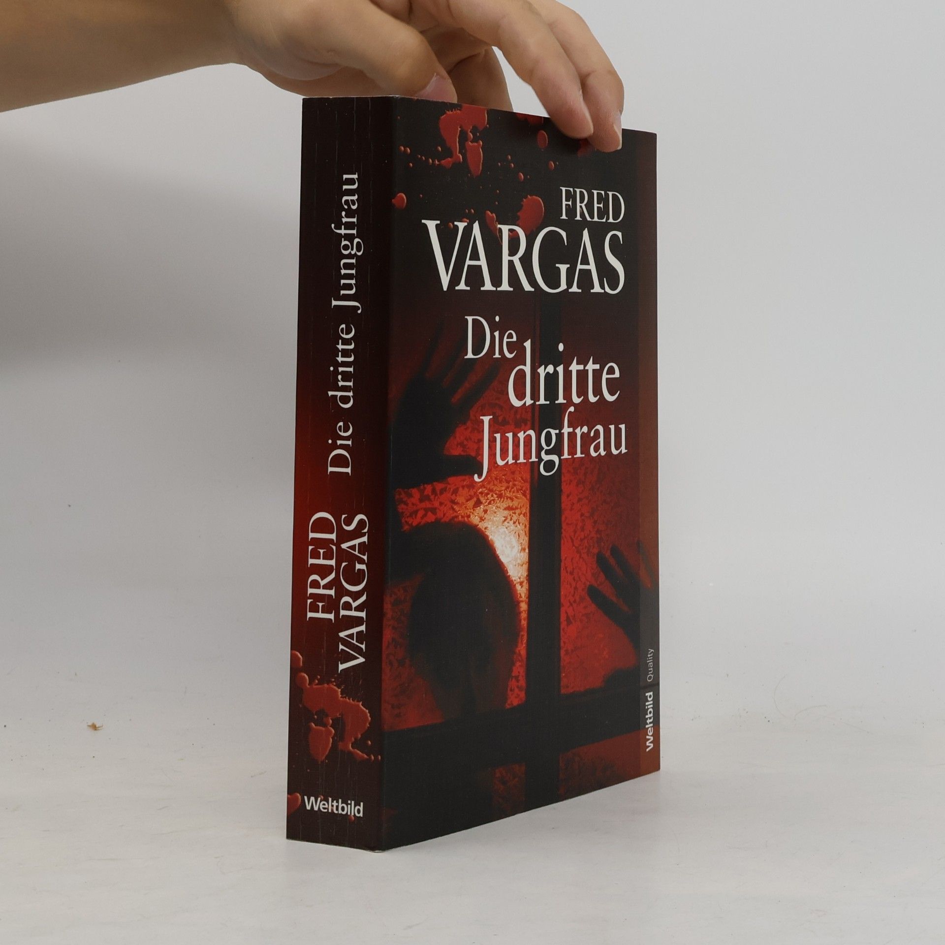 Fred Vargas Die dritte Jungfrau
