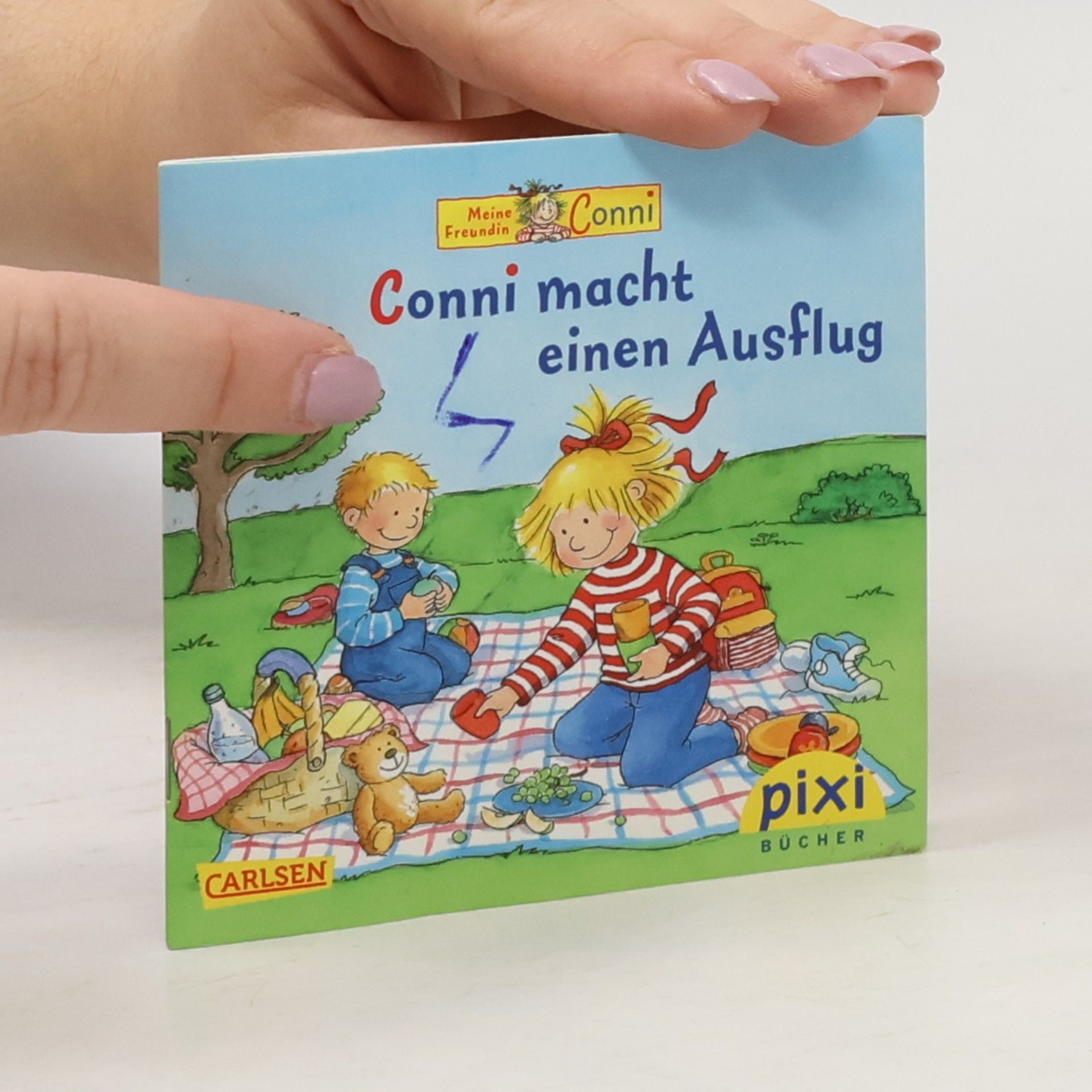 Annette Steinhauer Conni macht einen Ausflug