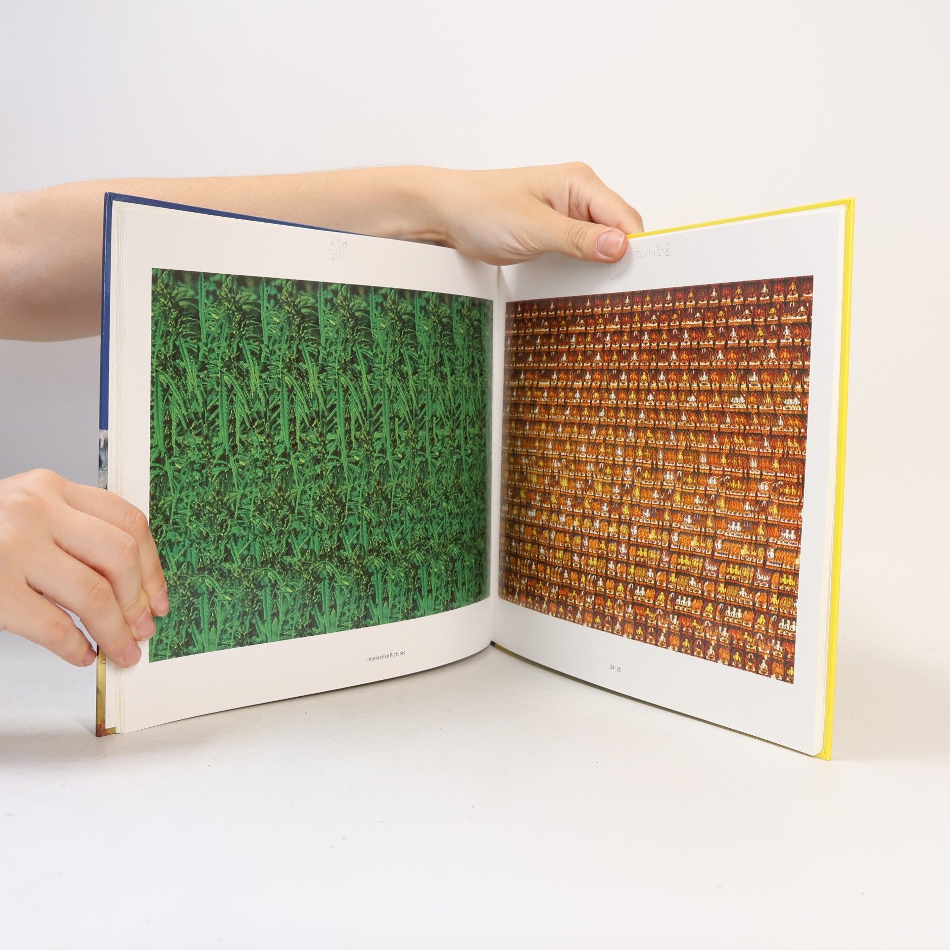 Autorenkollektiv Interactive Pictures in 3D!