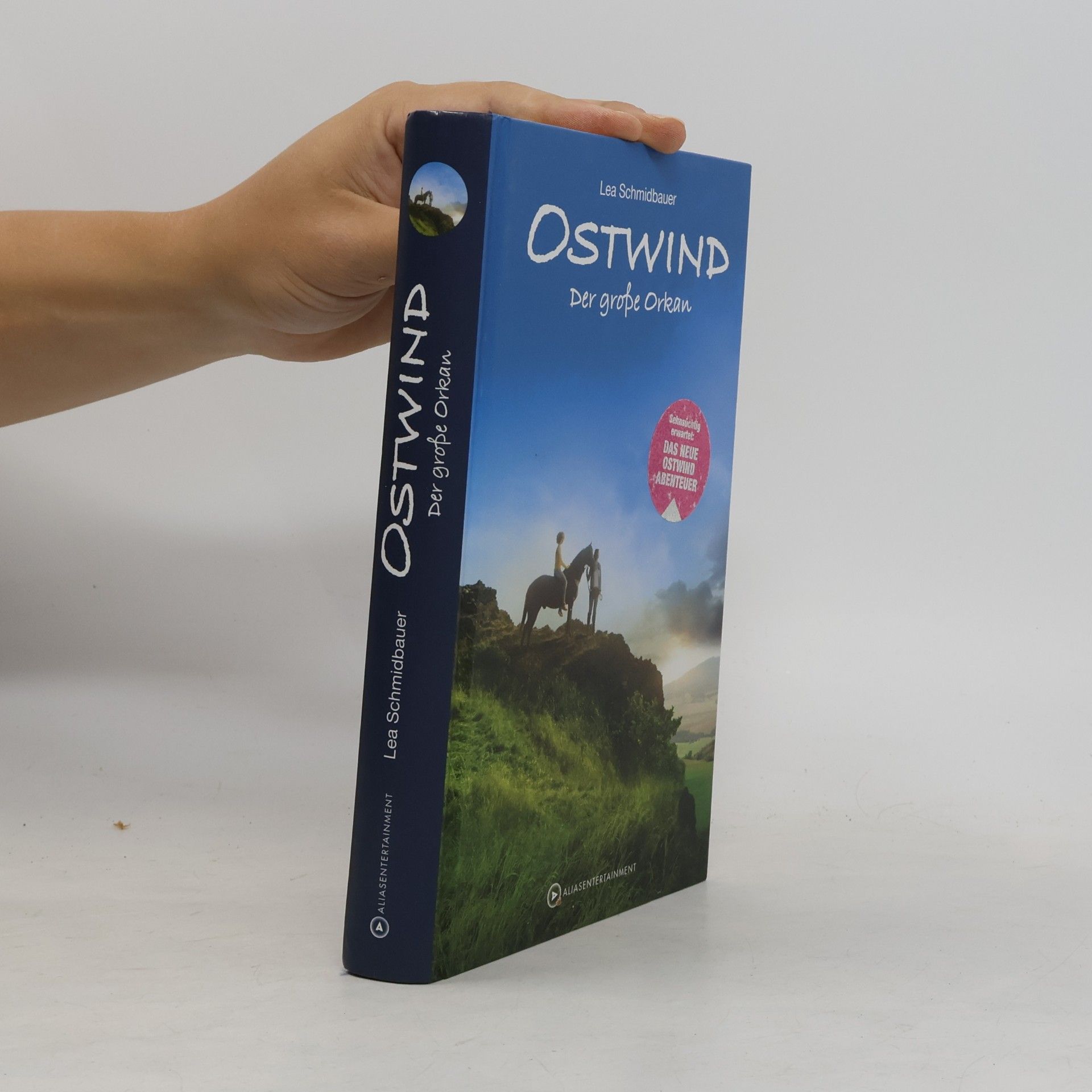 Lea Schmidbauer Ostwind. Der große Orkan