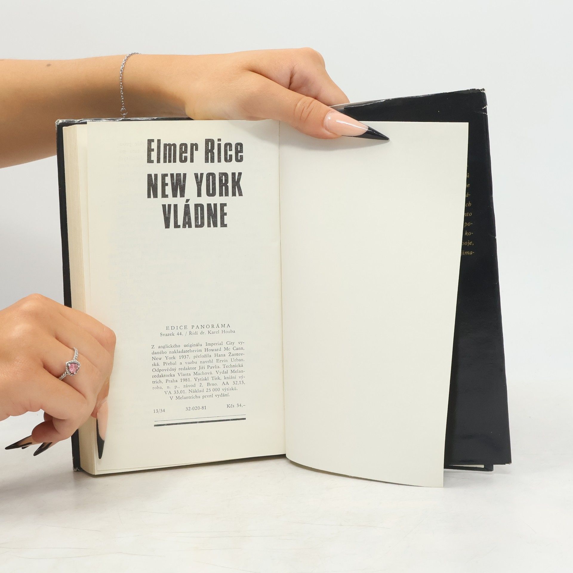 Elmer Rice New York vládne