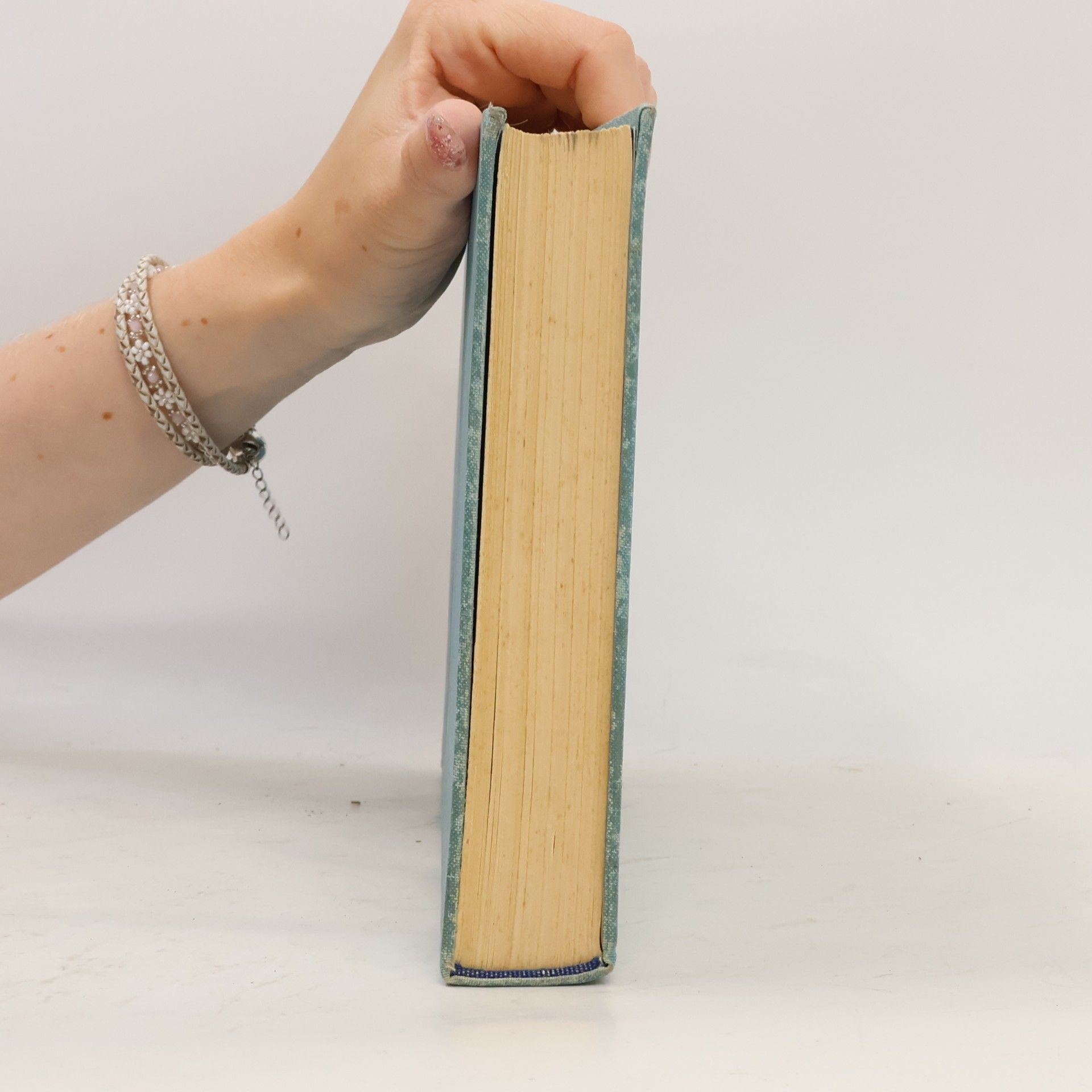 Autorenkollektiv Dejiny Rožnavy 1