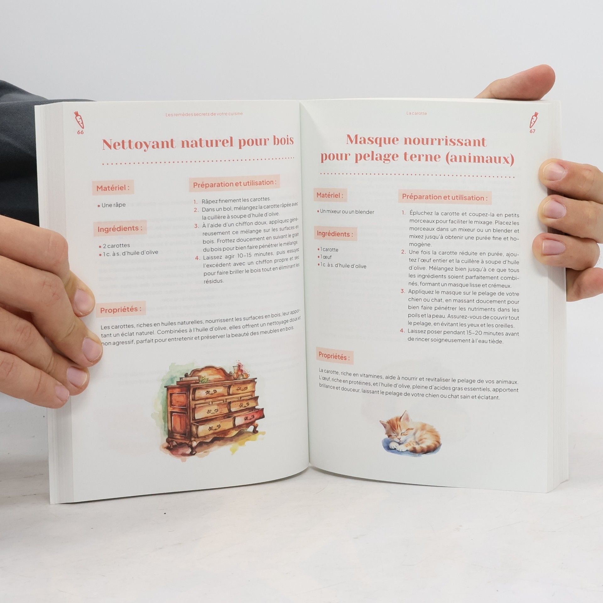 Autorenkollektiv Les remèdes secrets de votre cuisine