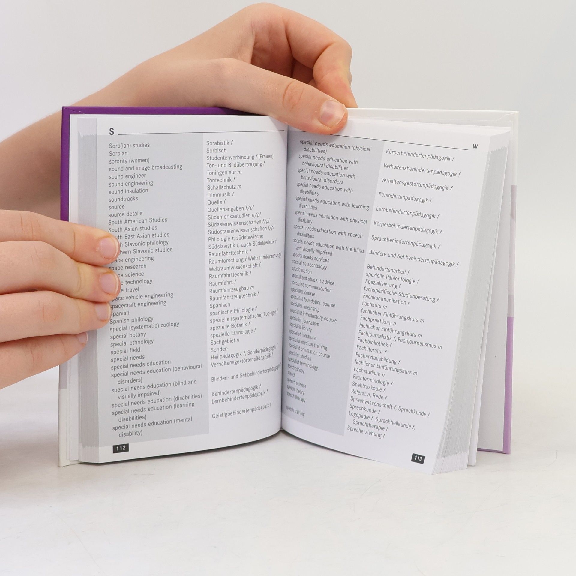 Kolektiv autorů Dictionary. English-German