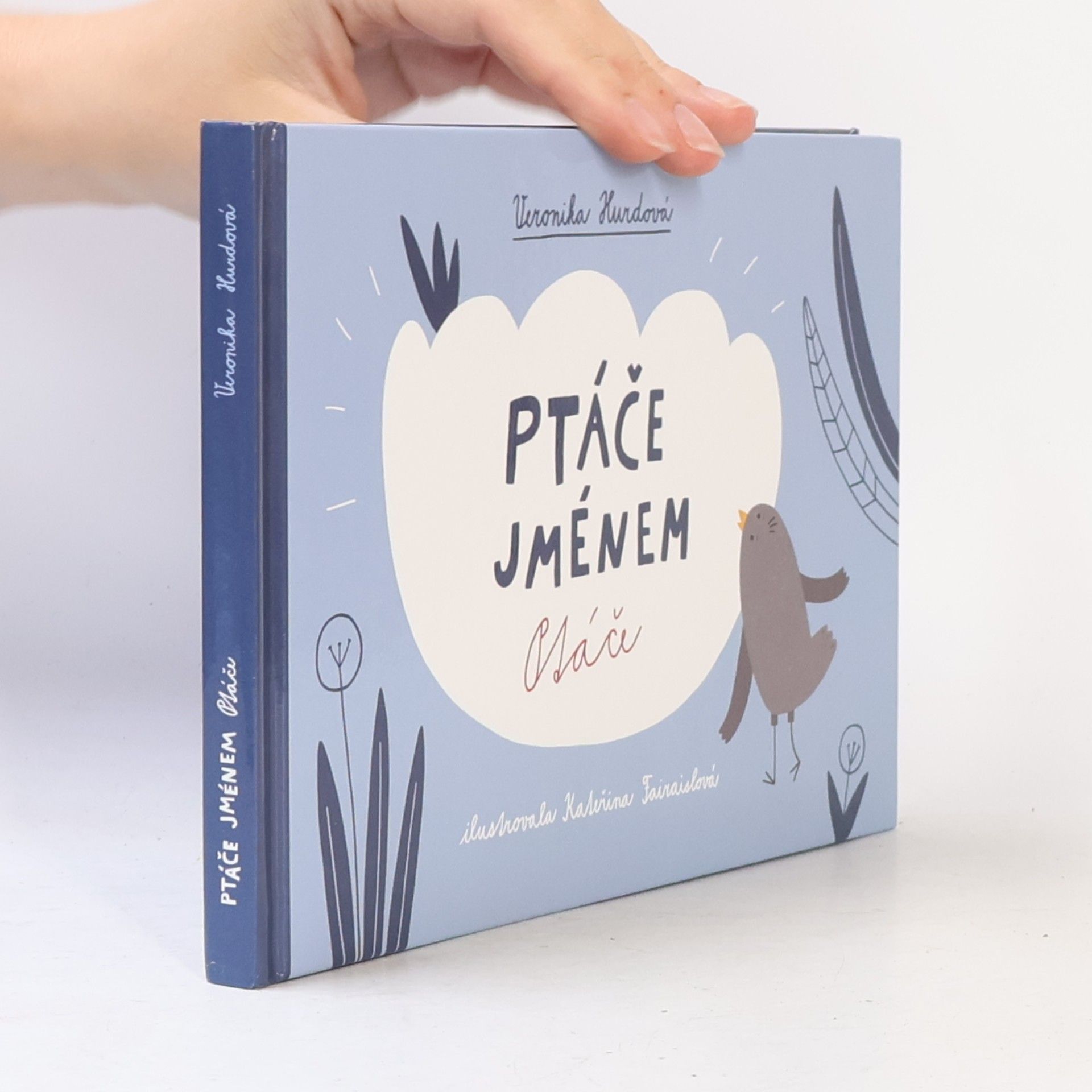 Veronika Hurdová Ptáče jménem Ptáče