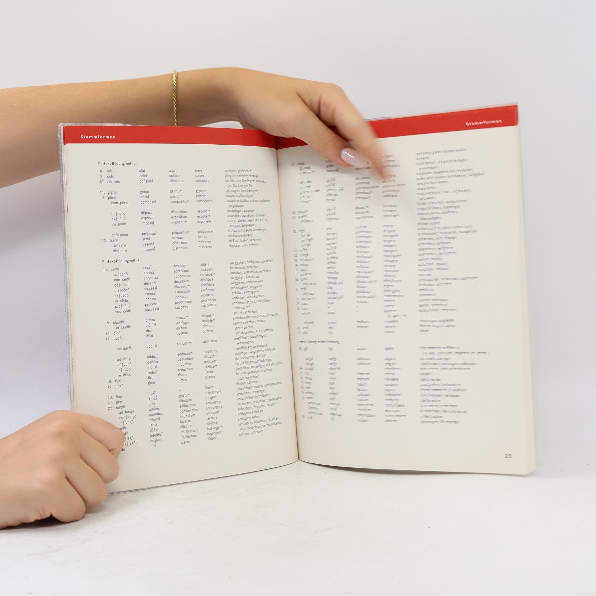 Friedrich Maier Cursus - Kurzgrammatik