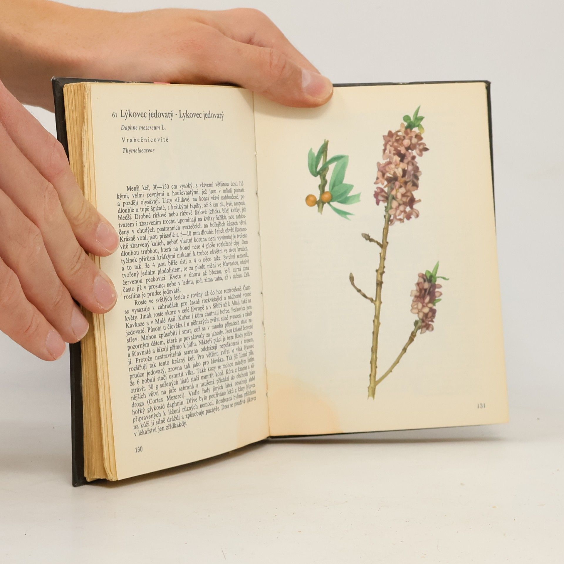 Otto Ušák Kapesní atlas rostlin