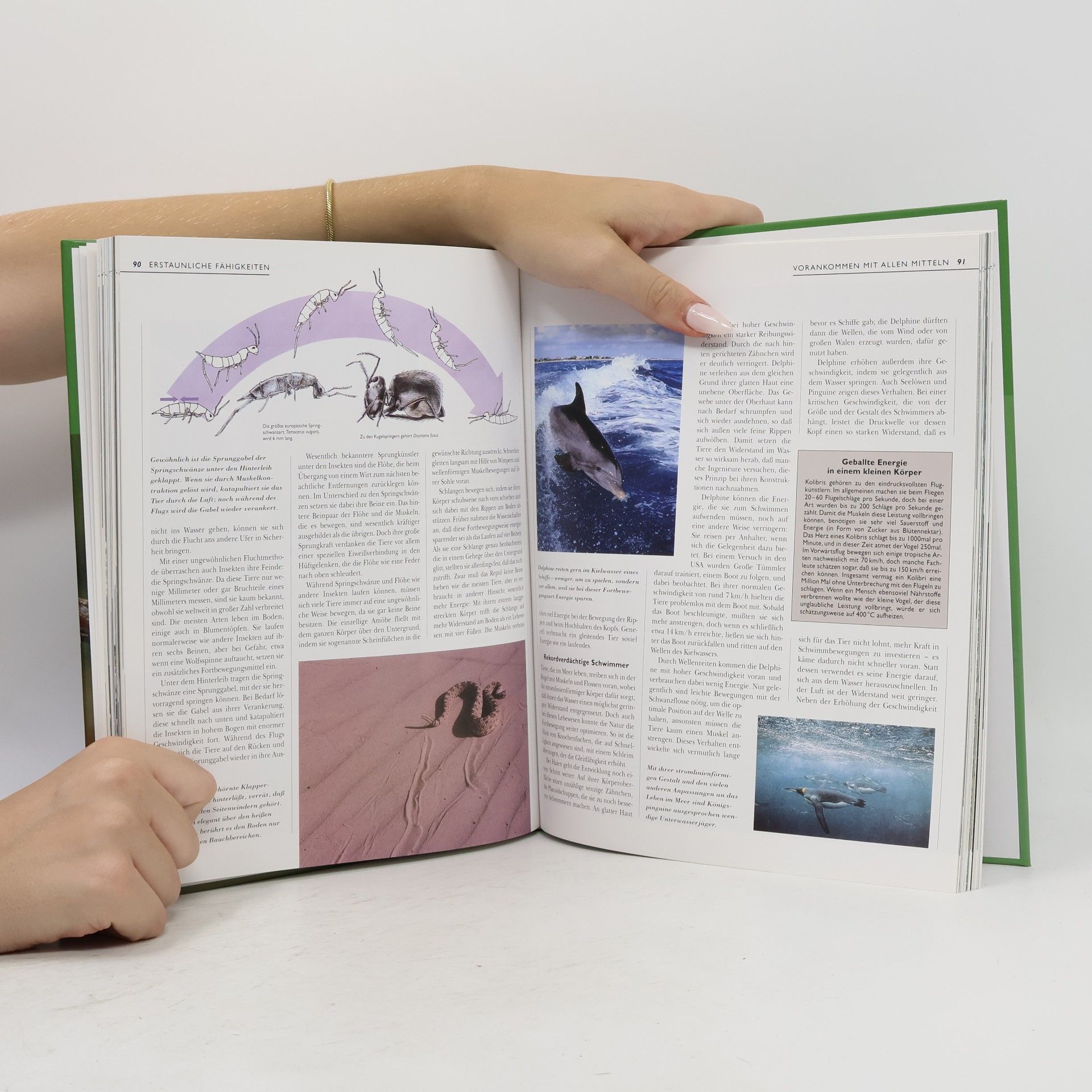 Various authors Unbekannte Tierwelt