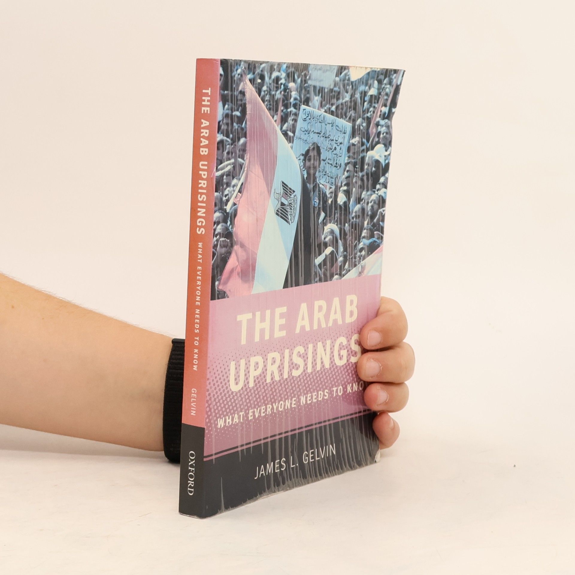 James L. Gelvin The Arab Uprisings