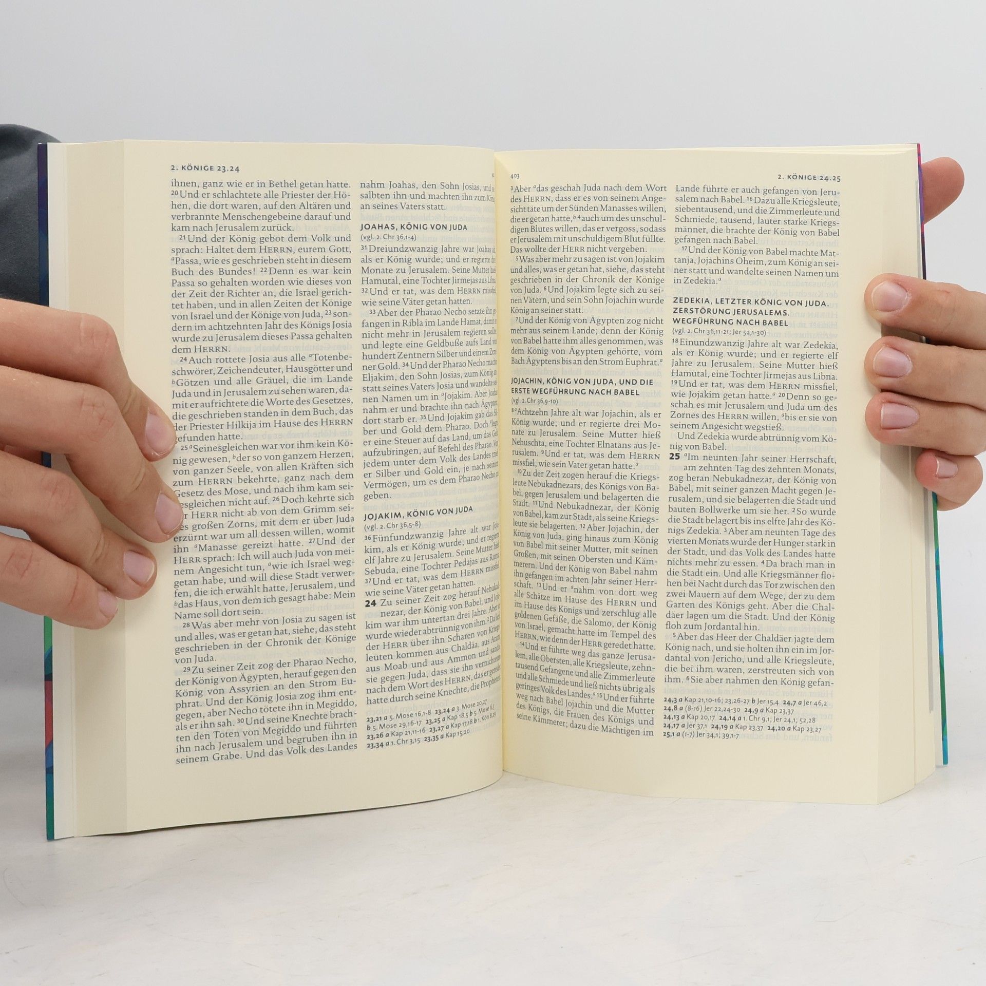 Martin Luther Lutherbibel revidiert 2017 - Klappenbroschur