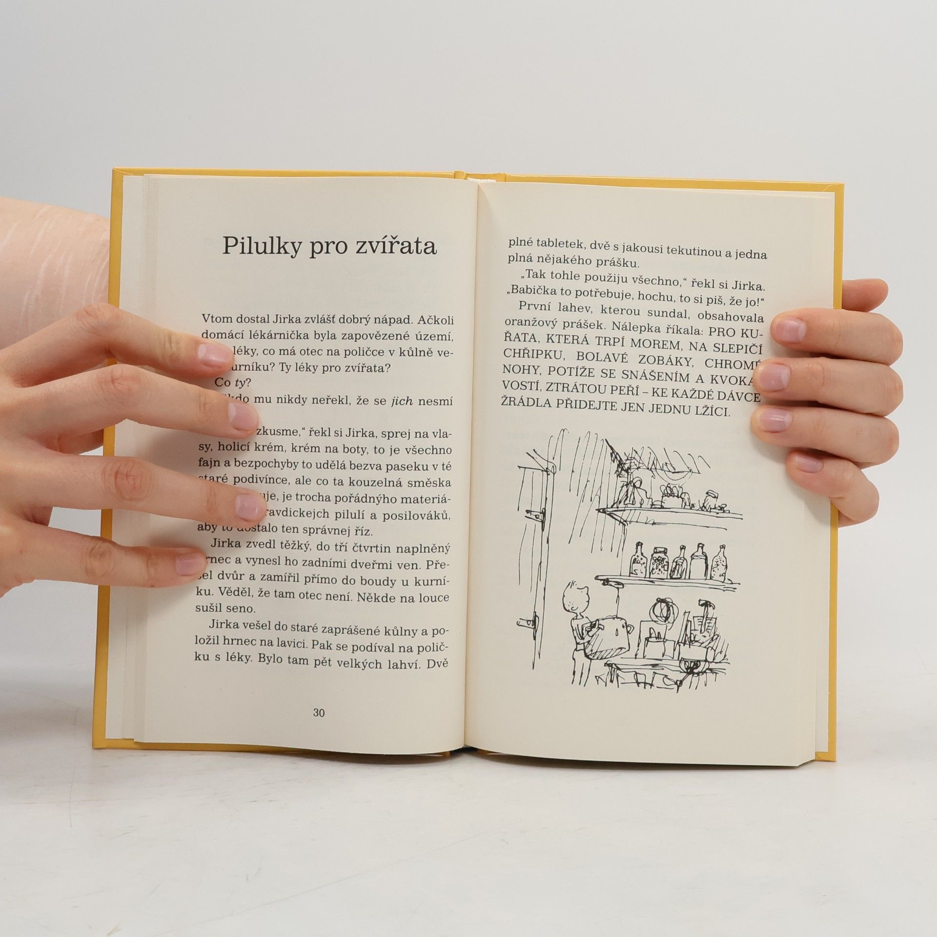 Roald Dahl Jirkova zázračná medicína