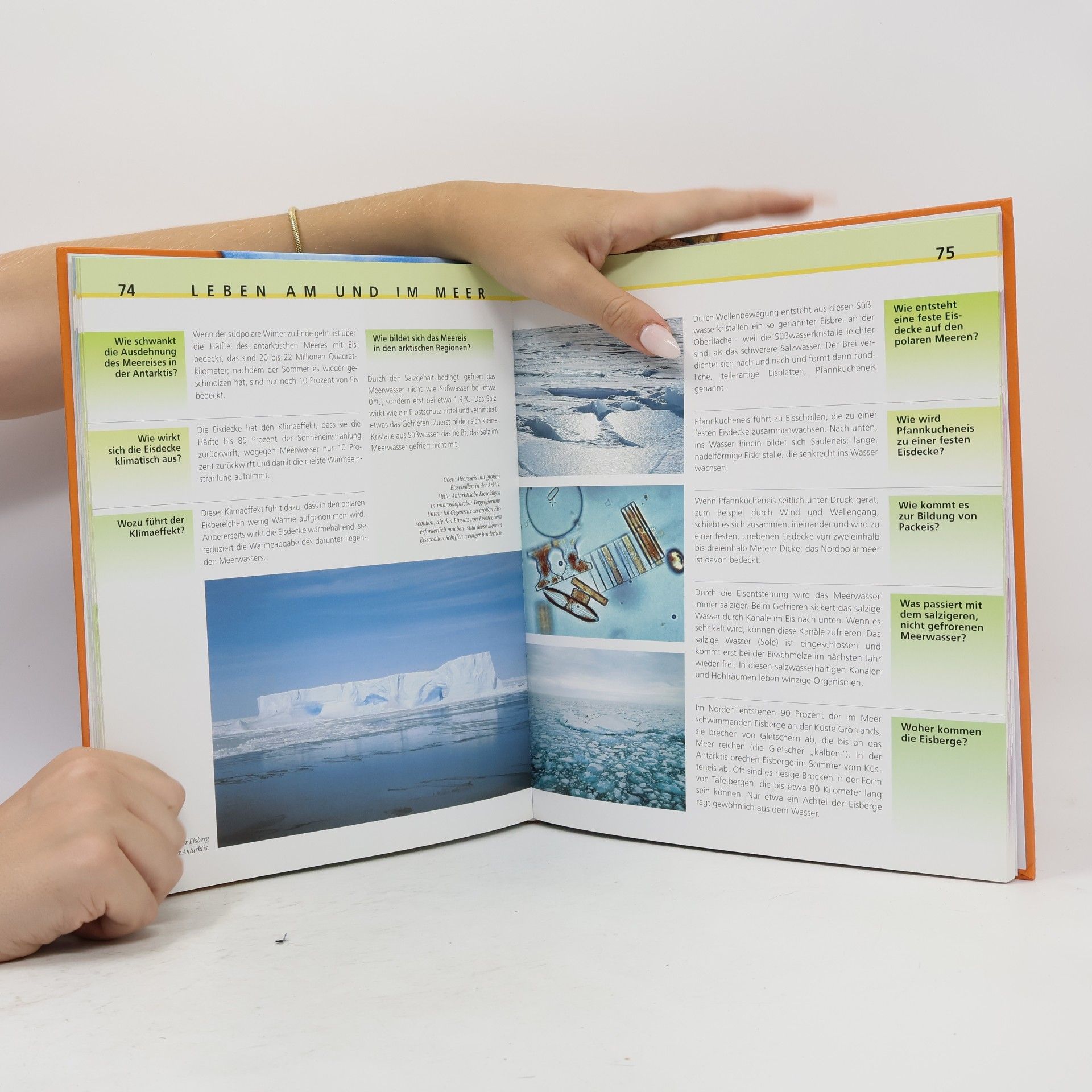 Autorenkollektiv Das Meer