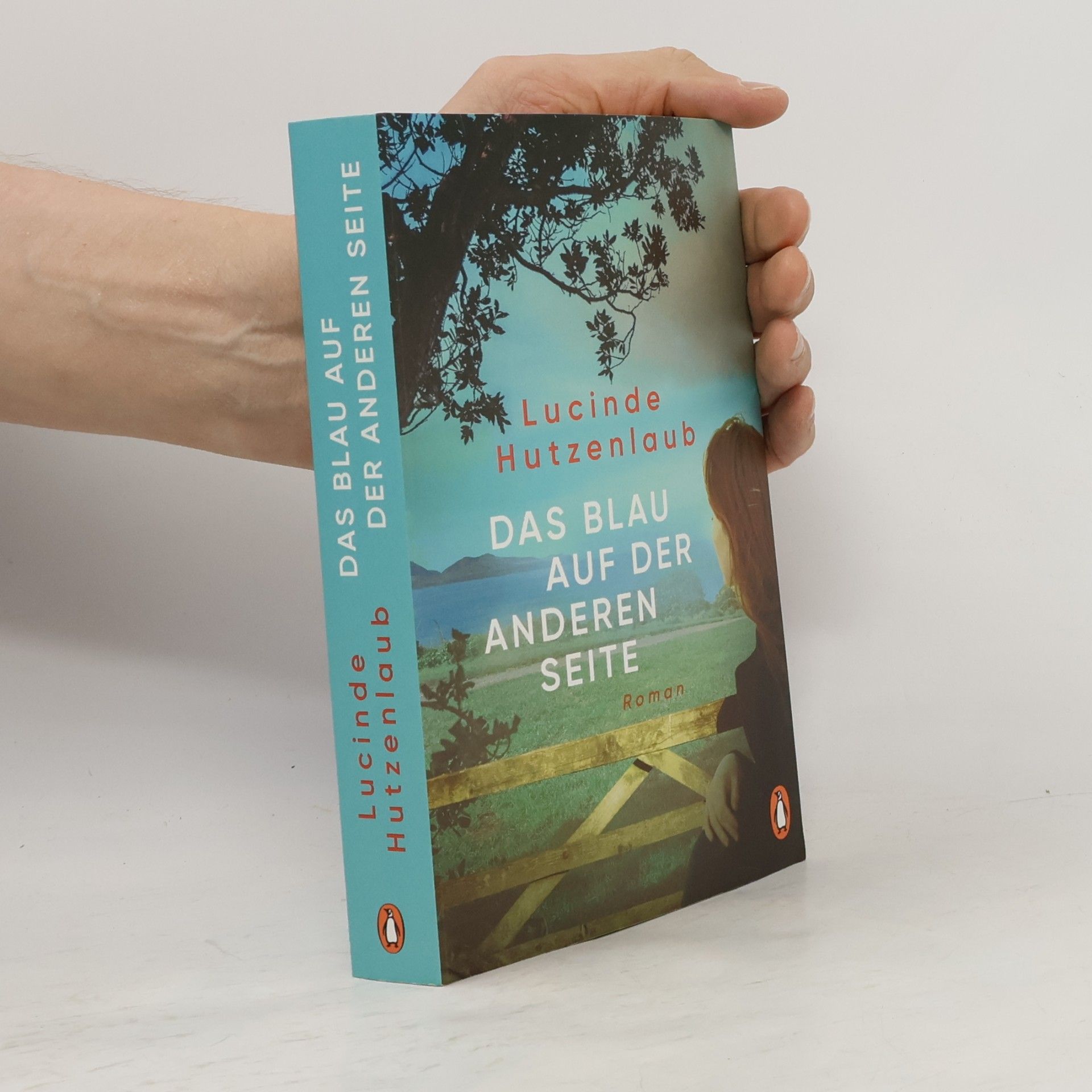 Lucinde Hutzenlaub Das Blau auf der anderen Seite