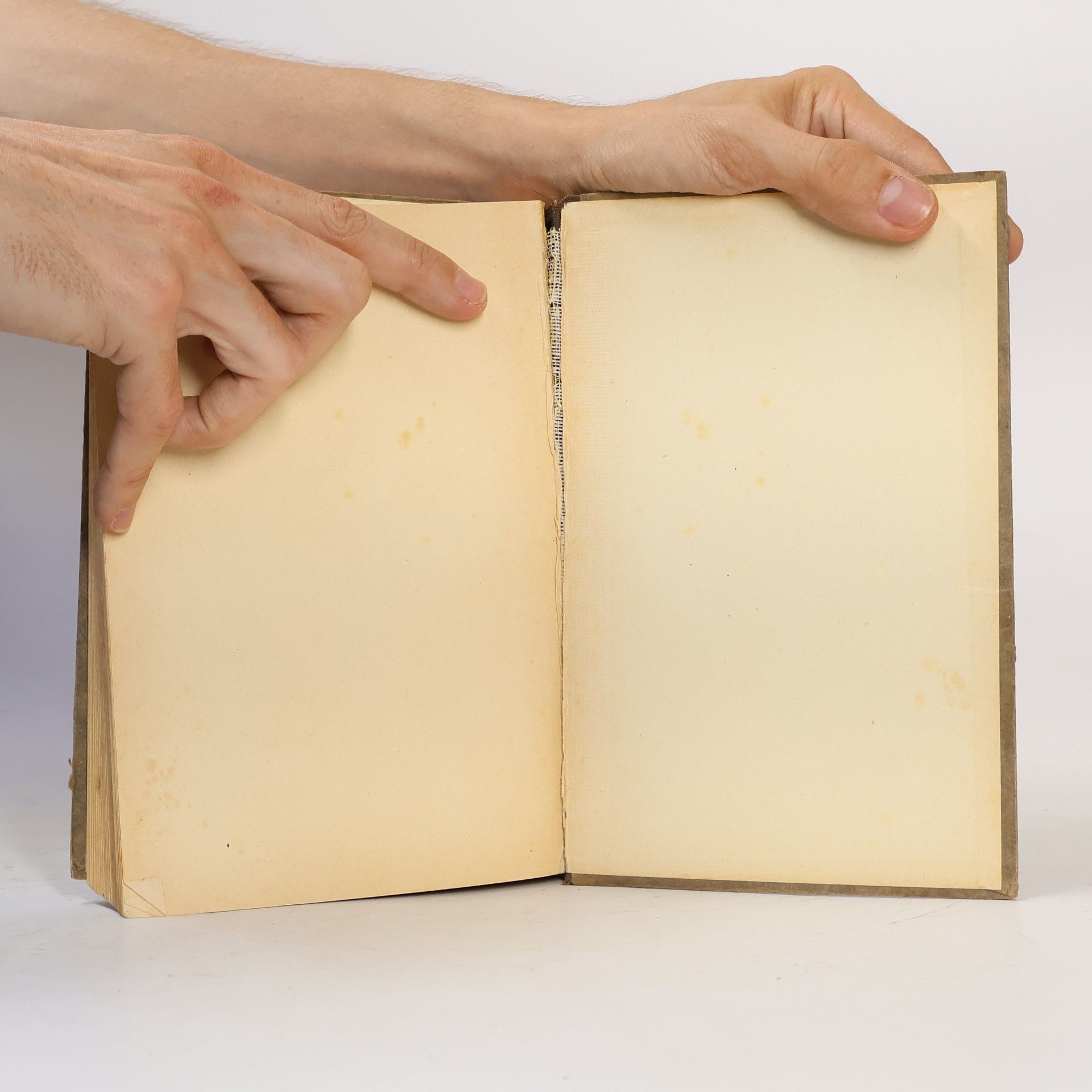 M. Buchberger Katholische Schulbibel