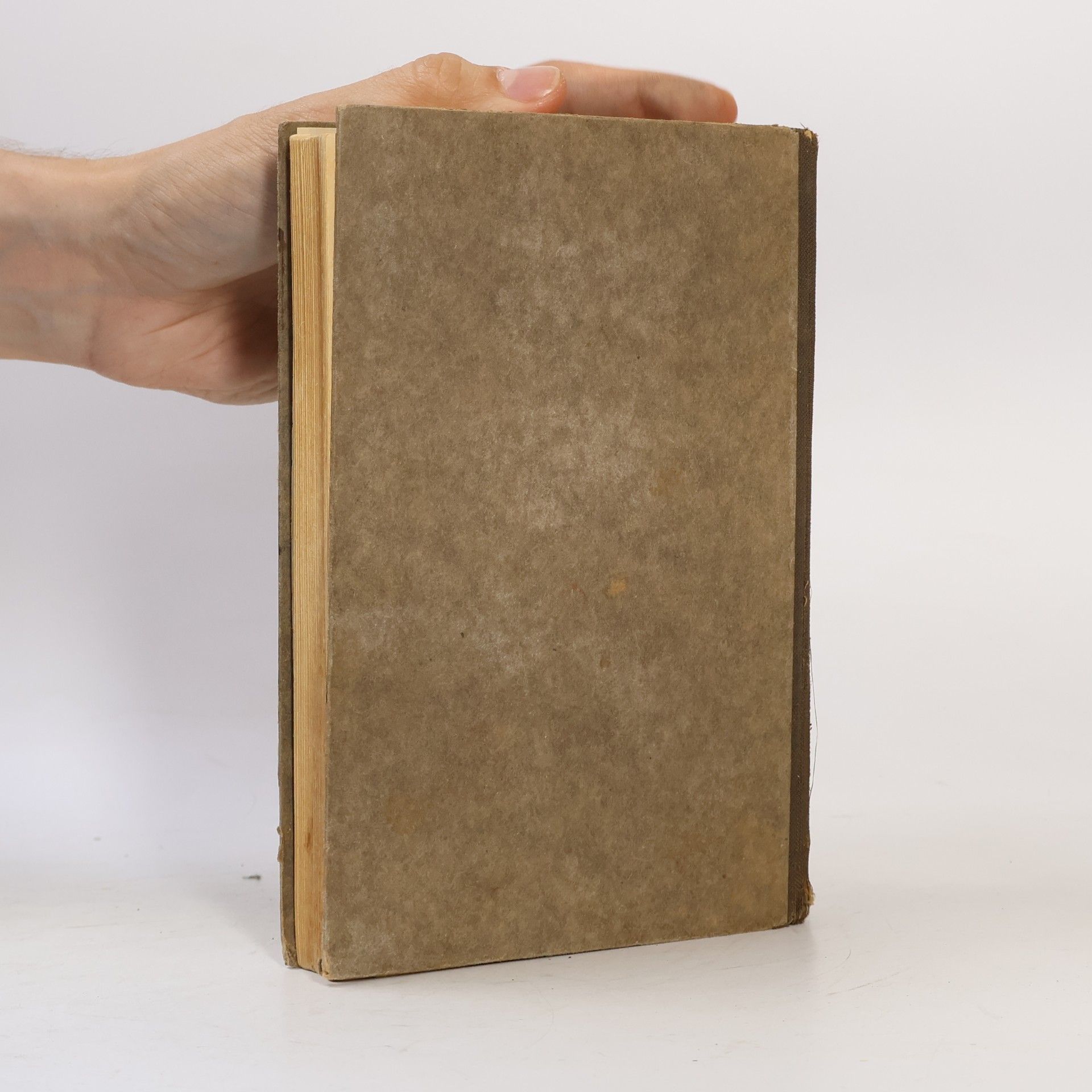 M. Buchberger Katholische Schulbibel