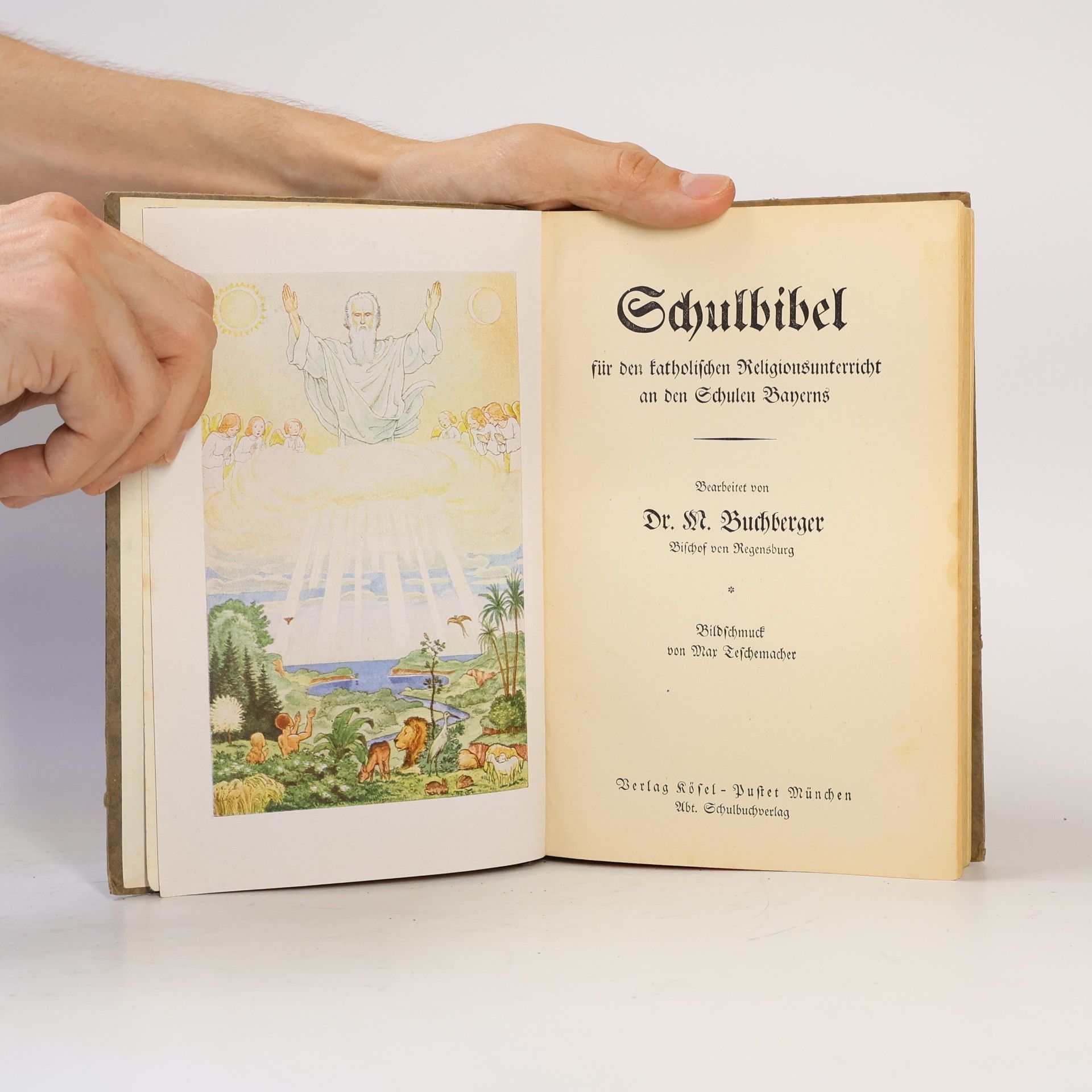 M. Buchberger Katholische Schulbibel