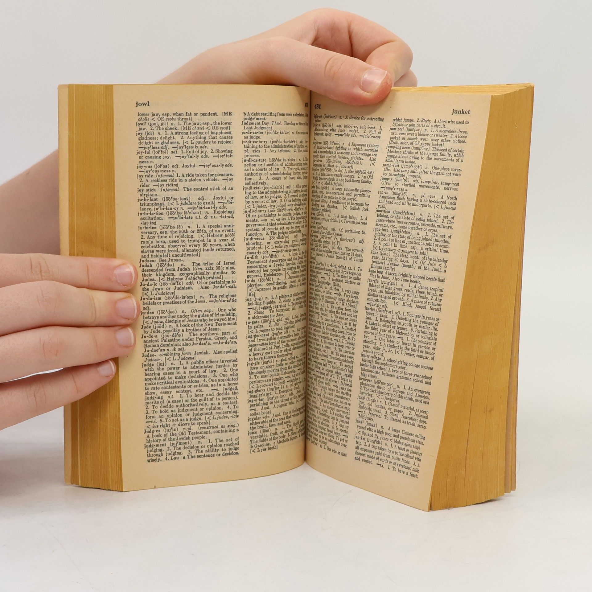 AA.VV. Funk & Wagnalls Standard Dictionary