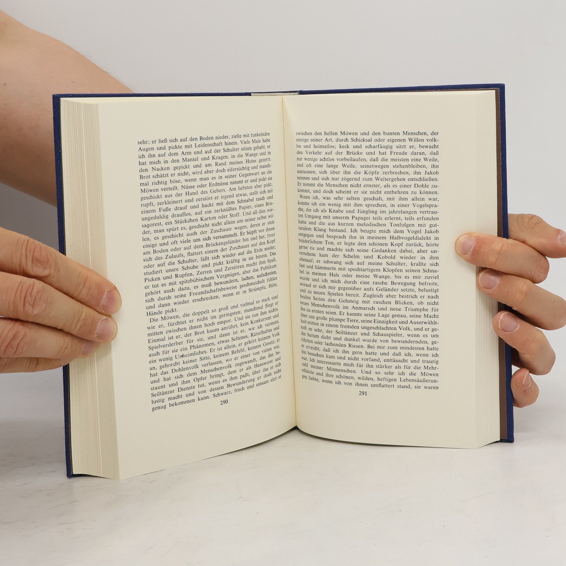 Hermann Hesse Gesammelte Erzählungen 1900-1955