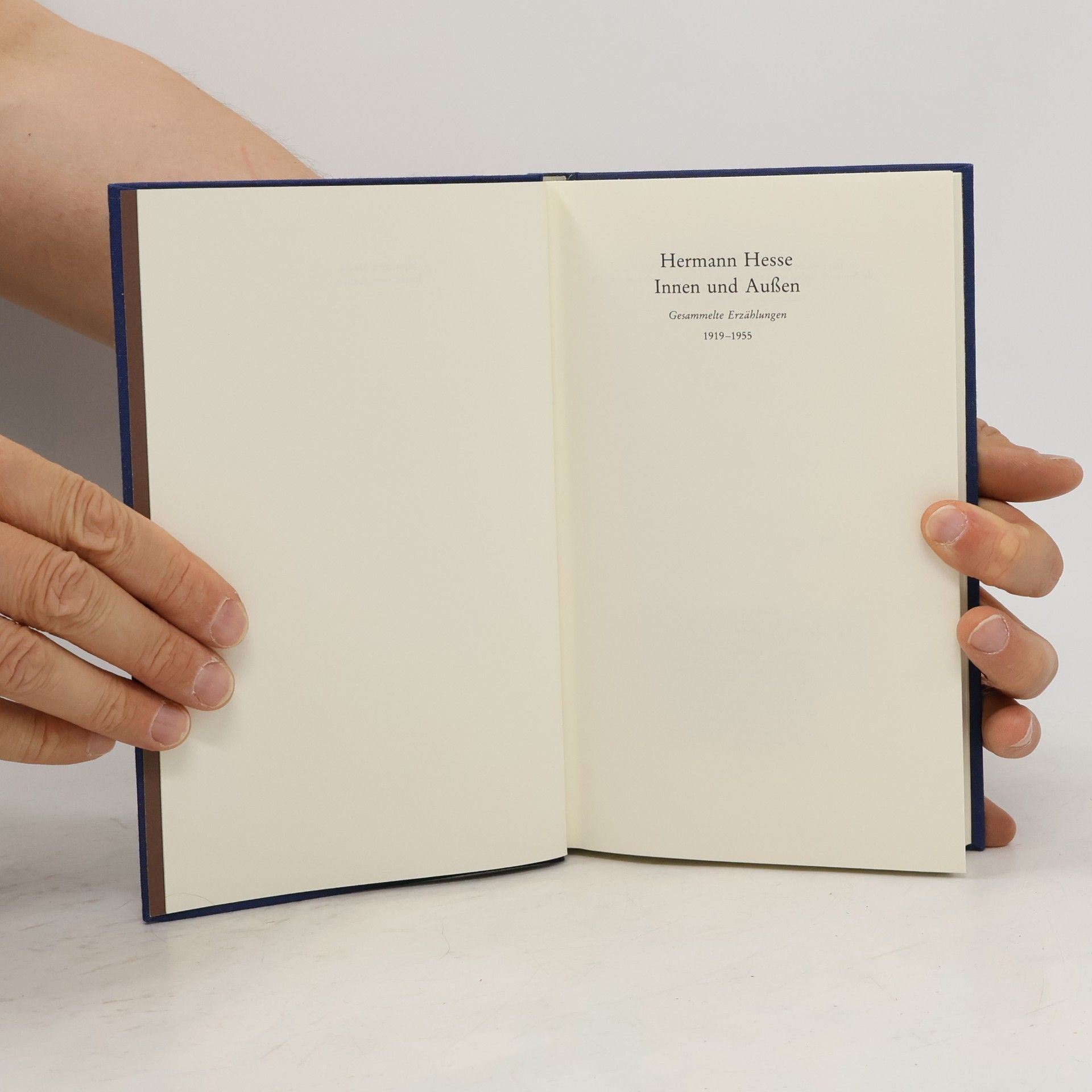 Hermann Hesse Gesammelte Erzählungen 1900-1955