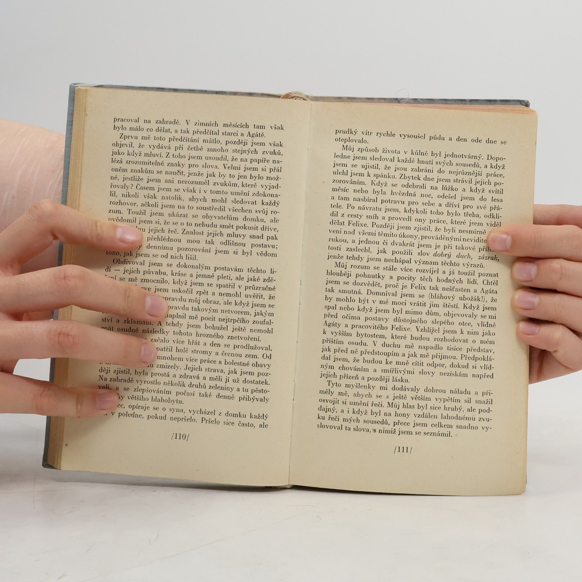 Mary Shelley Frankenstein