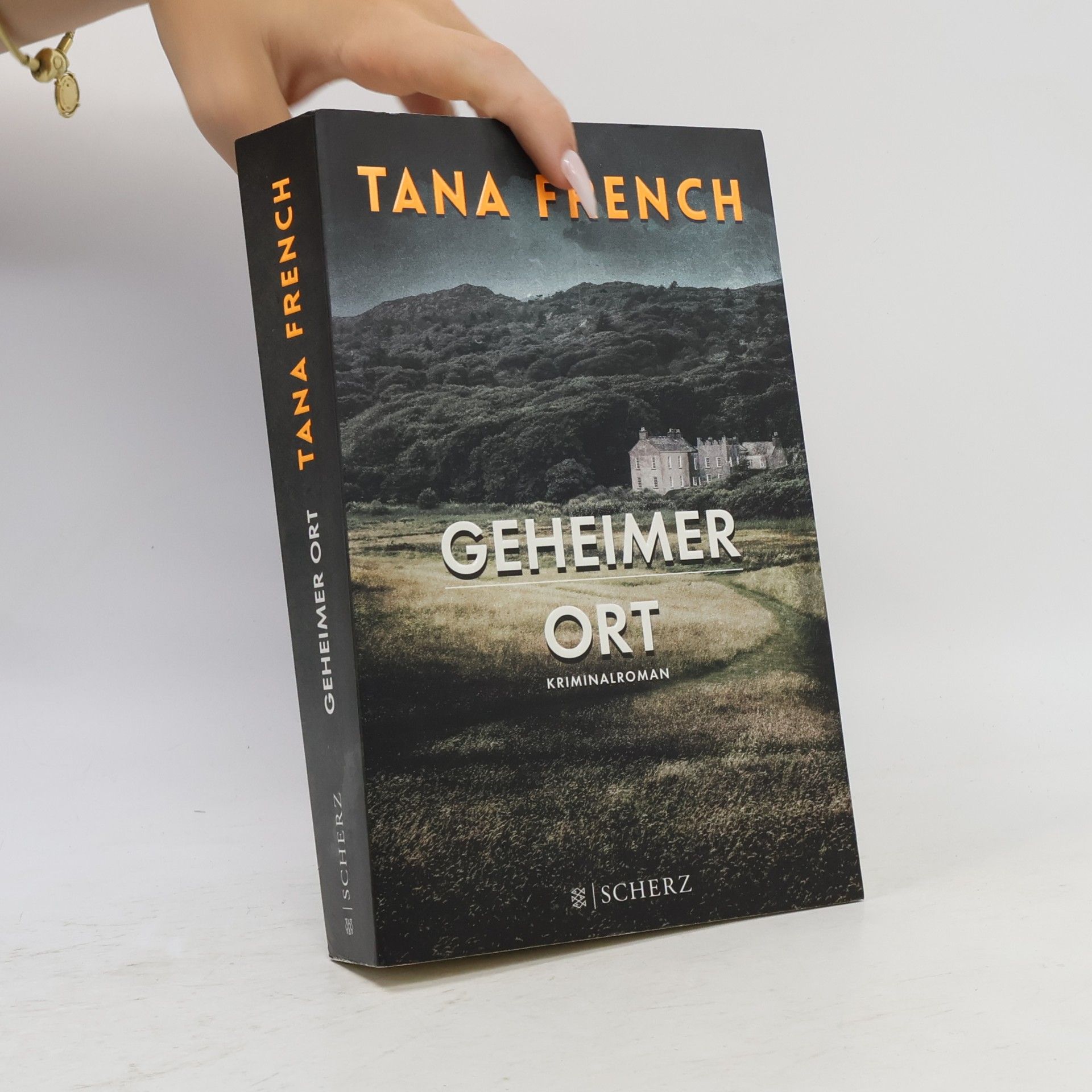 Tana French Geheimer Ort