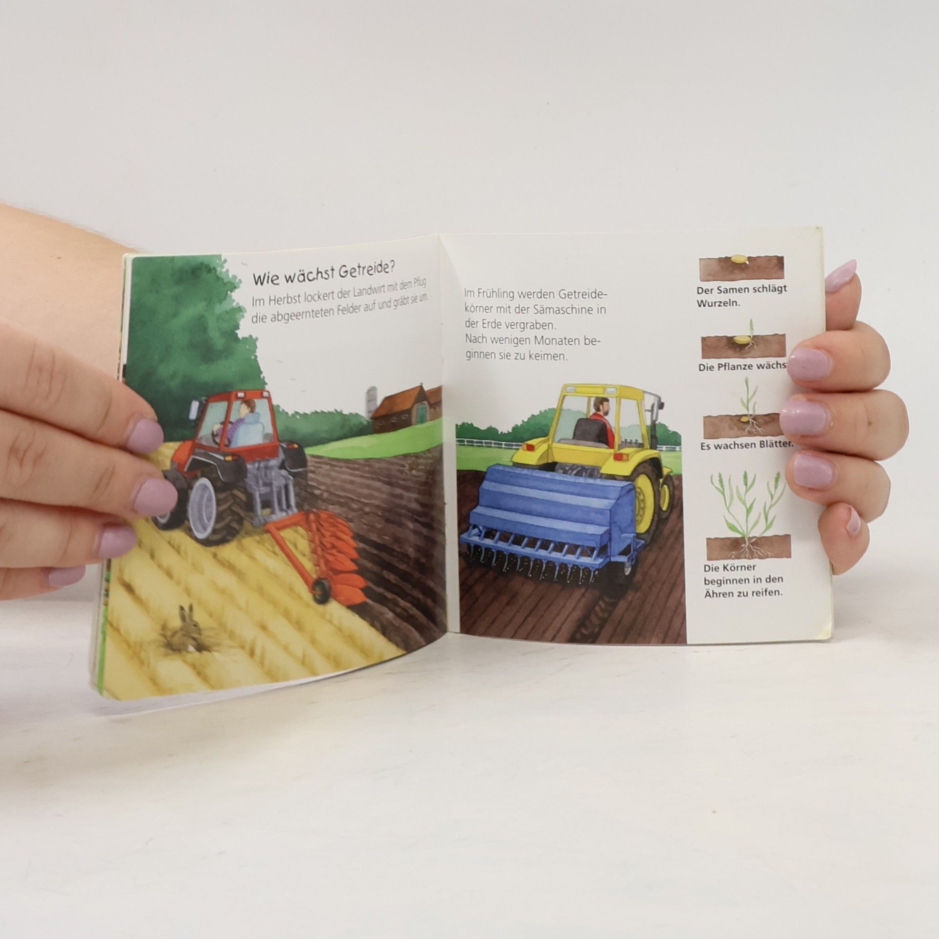 Constanza Droop Bauernhof