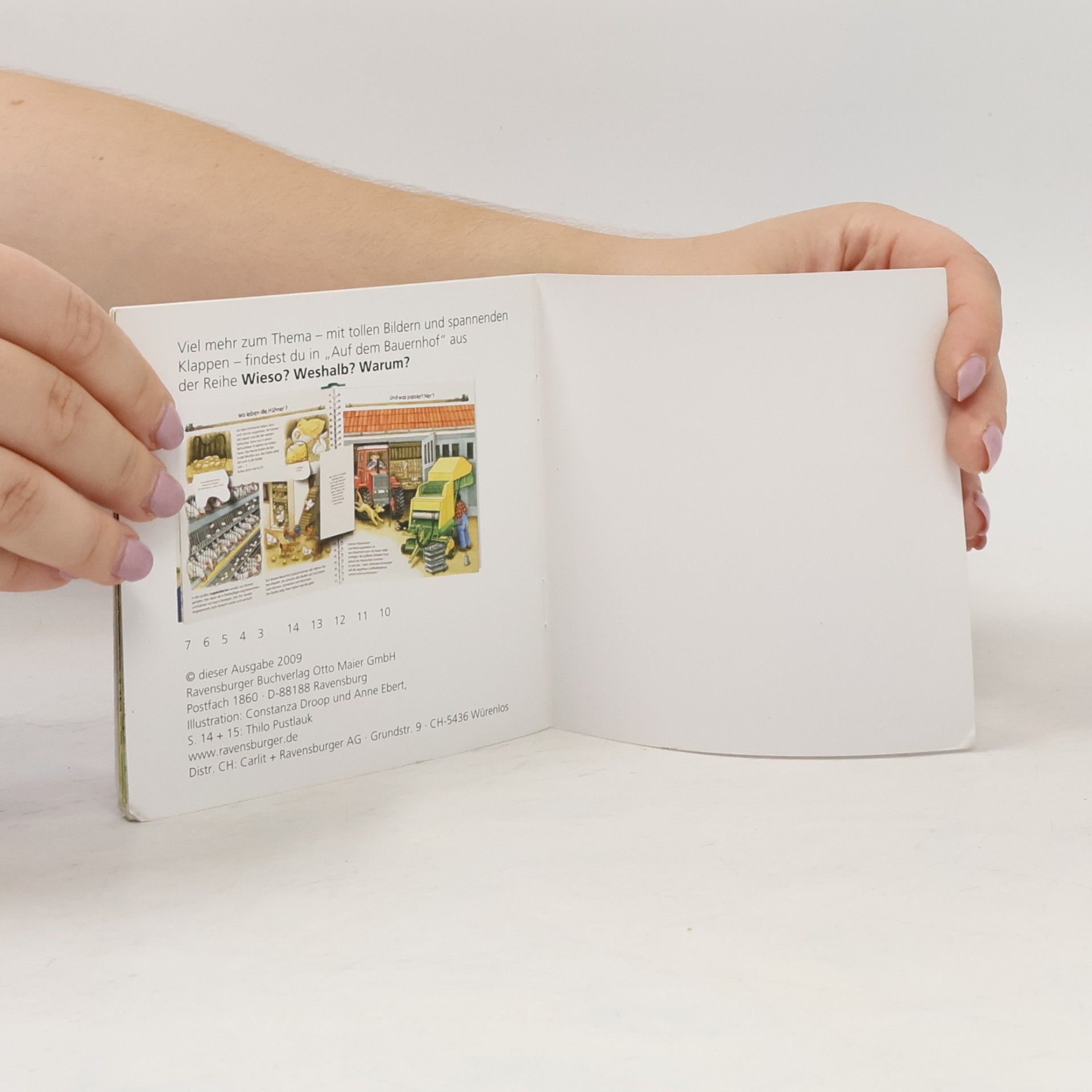 Constanza Droop Bauernhof