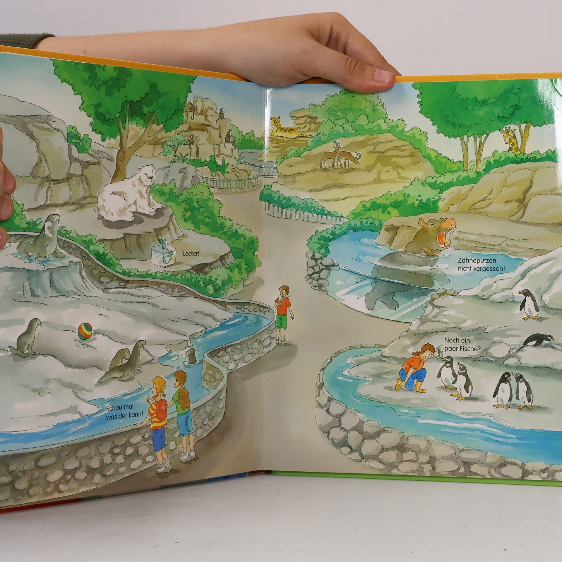 Autorenkollektiv Tiere im ZOO. Magnet-Spiel-Buch