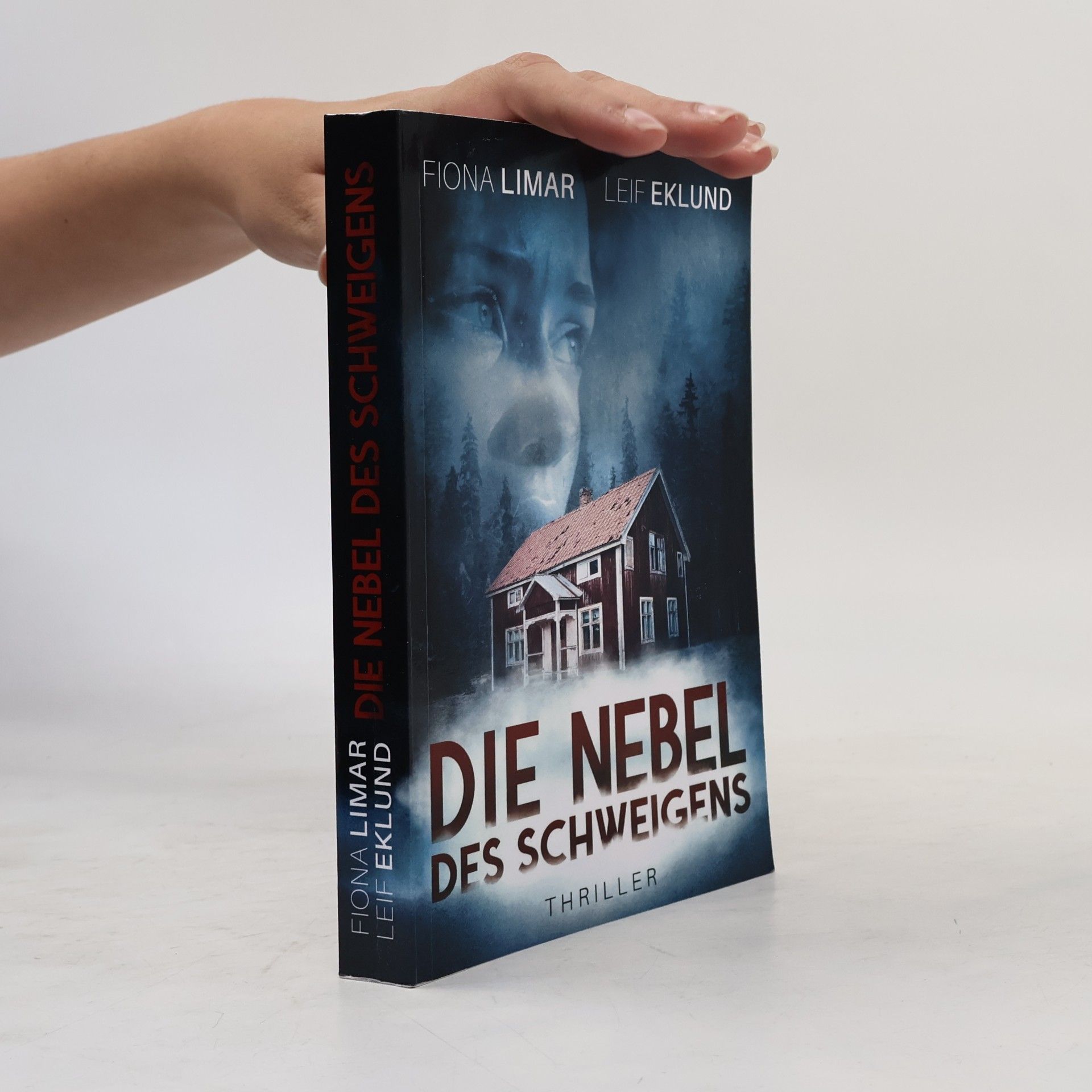 Leif Eklund Die Nebel des Schweigens