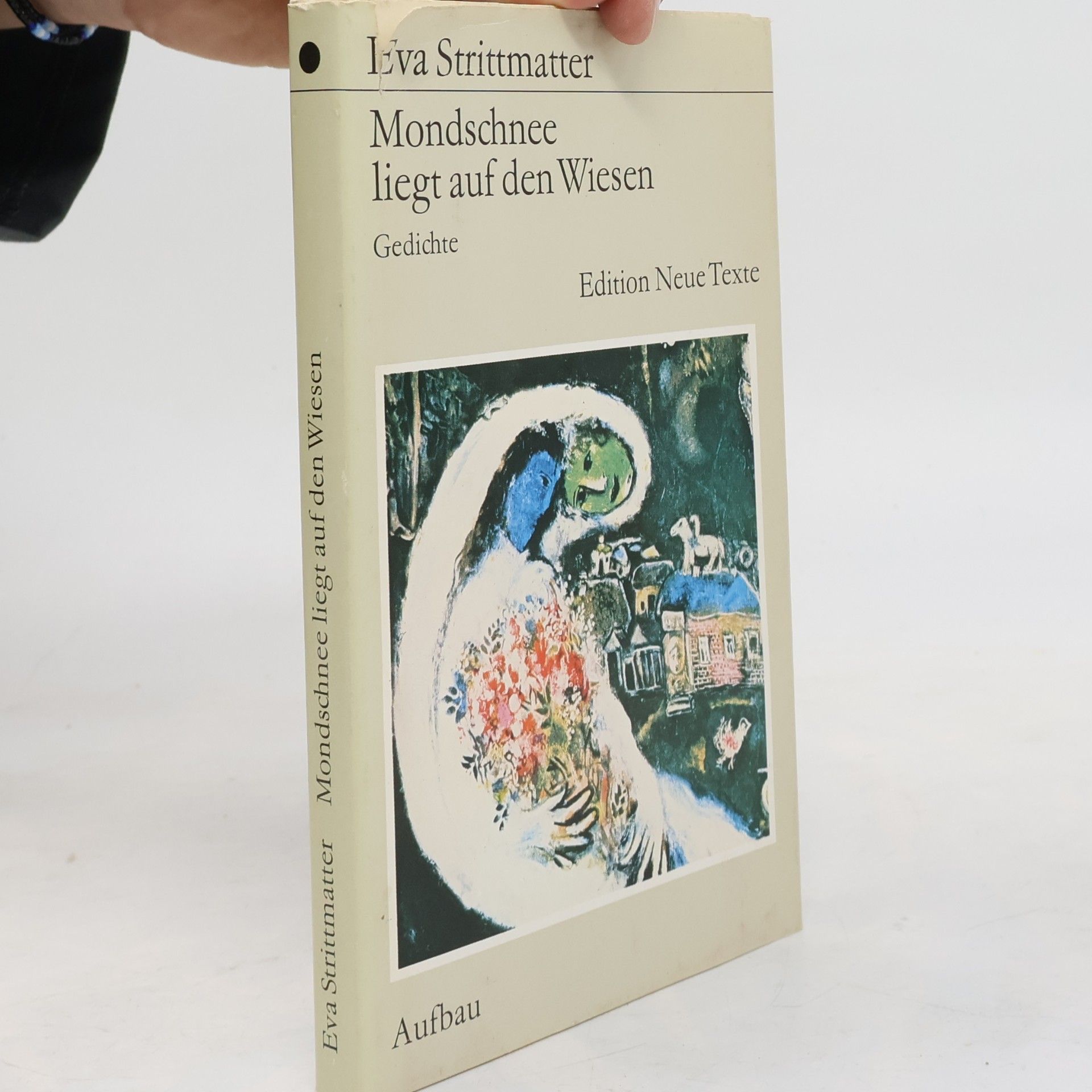 Eva Strittmatter Mondschnee liegt auf den Wiesen